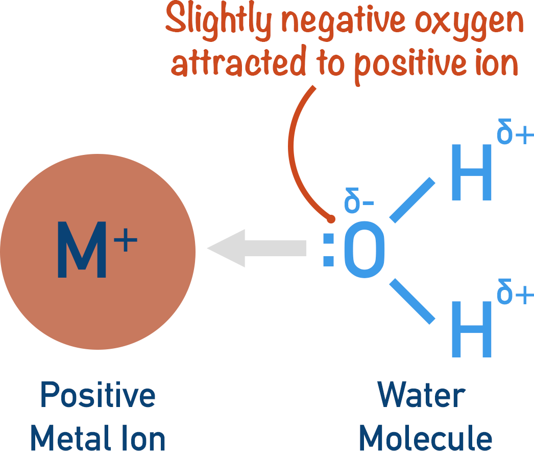 ligand forming co-ordinate bond with transition metal ion