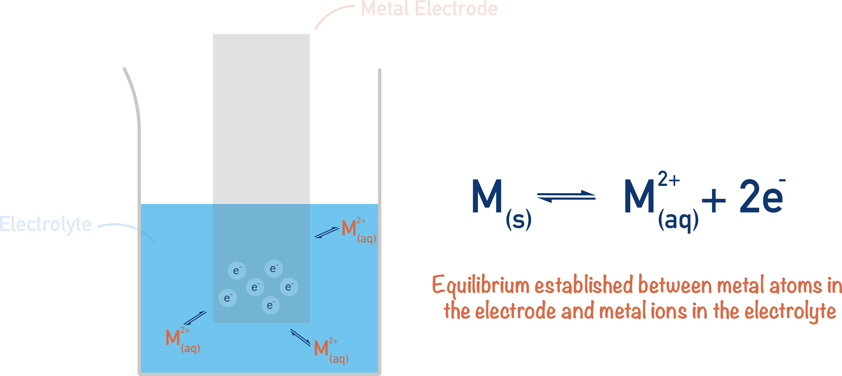 equilibrium between metal and ions electrochemistry potential difference electrode electrolyte