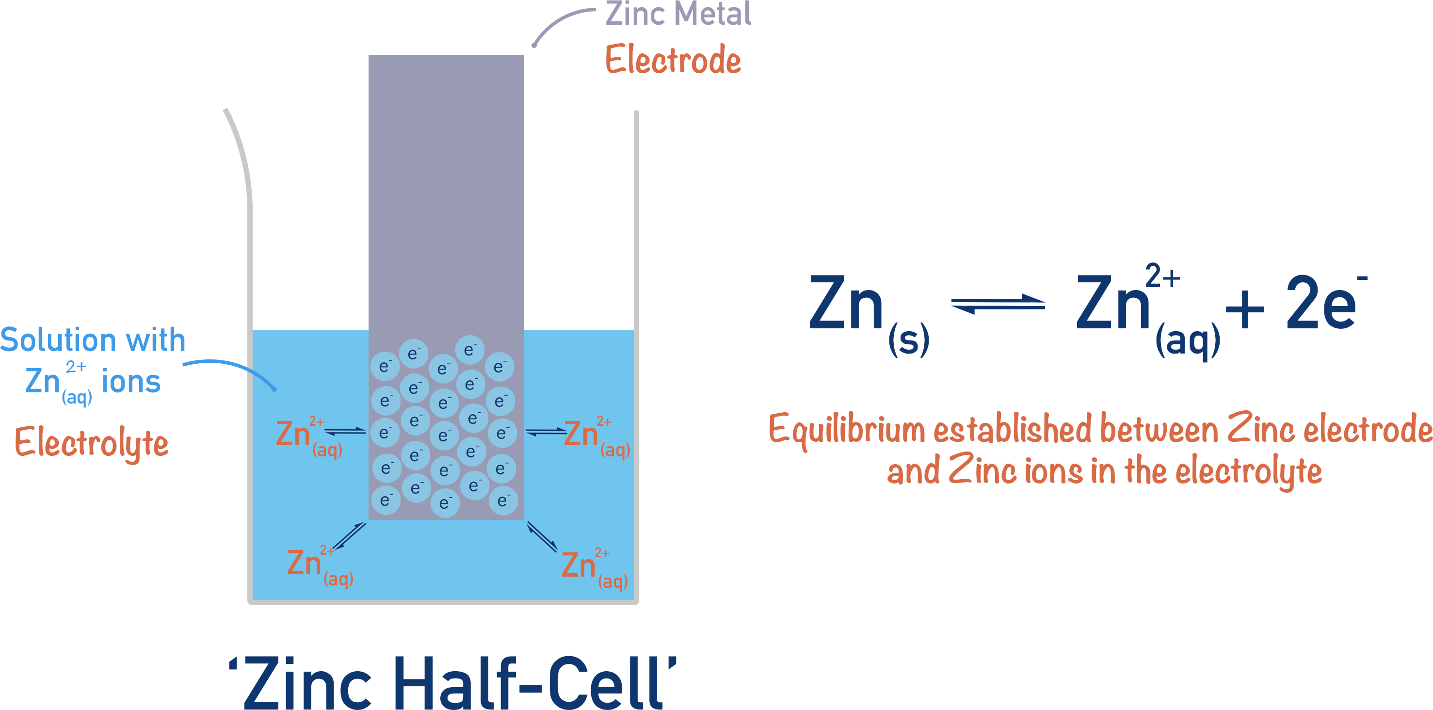 zinc half cell electrochemistry oxidation reduction equilibrium electrode potential a-level chemistry