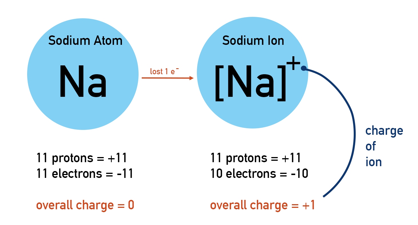 Formation of positively charged sodium ion