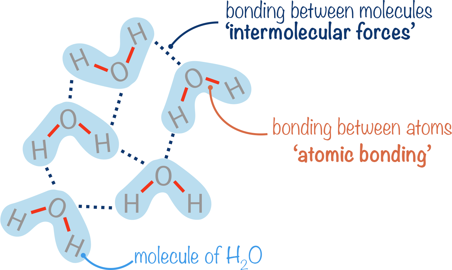 intermolecular forces and atomic bonding within water