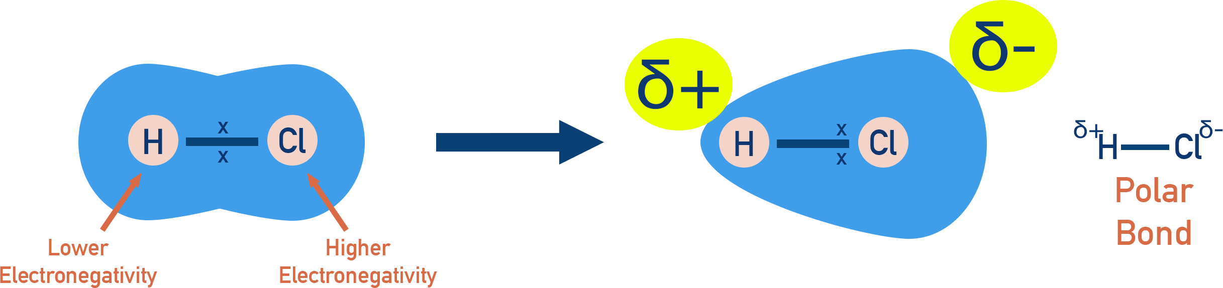 AP Chemistry diagram of the HCl bond showing electron density toward chlorine and δ+ on H, δ− on Cl to indicate a polar covalent bond