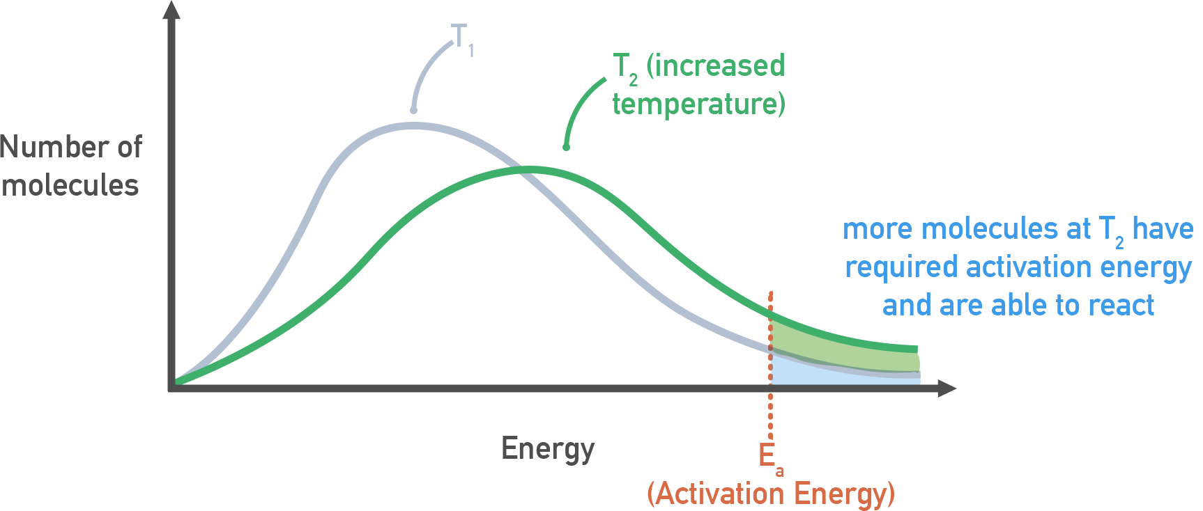 AP Chemistry overlayed Maxwell–Boltzmann curves at T₁ and higher T₂ showing shift to the right and lower peak; more molecules exceed activation energy Eₐ at higher temperature.