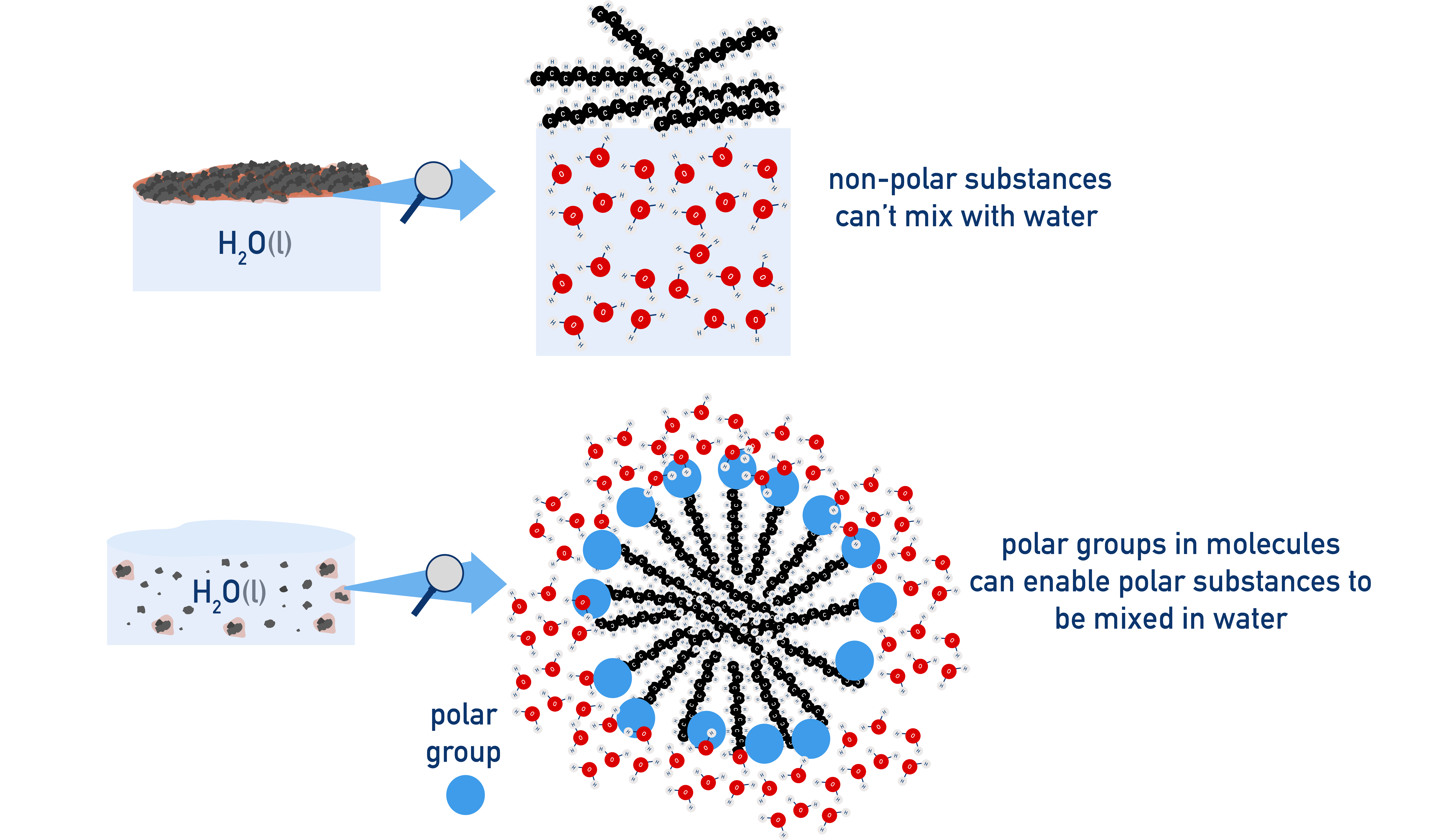 AP Chemistry schematic showing that nonpolar substances and some larger polar molecules do not mix with water, whereas polar groups can increase solubility.
