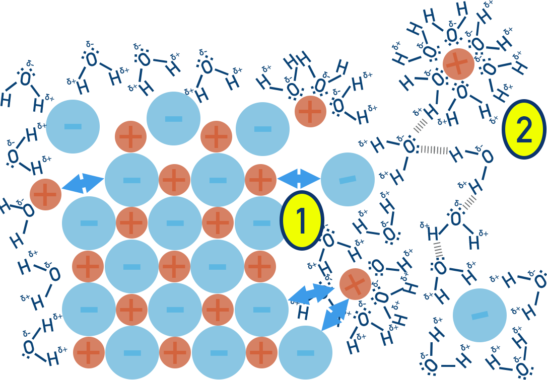 Particulate diagram of ionic compound dissolving in water with ion–dipole interactions.