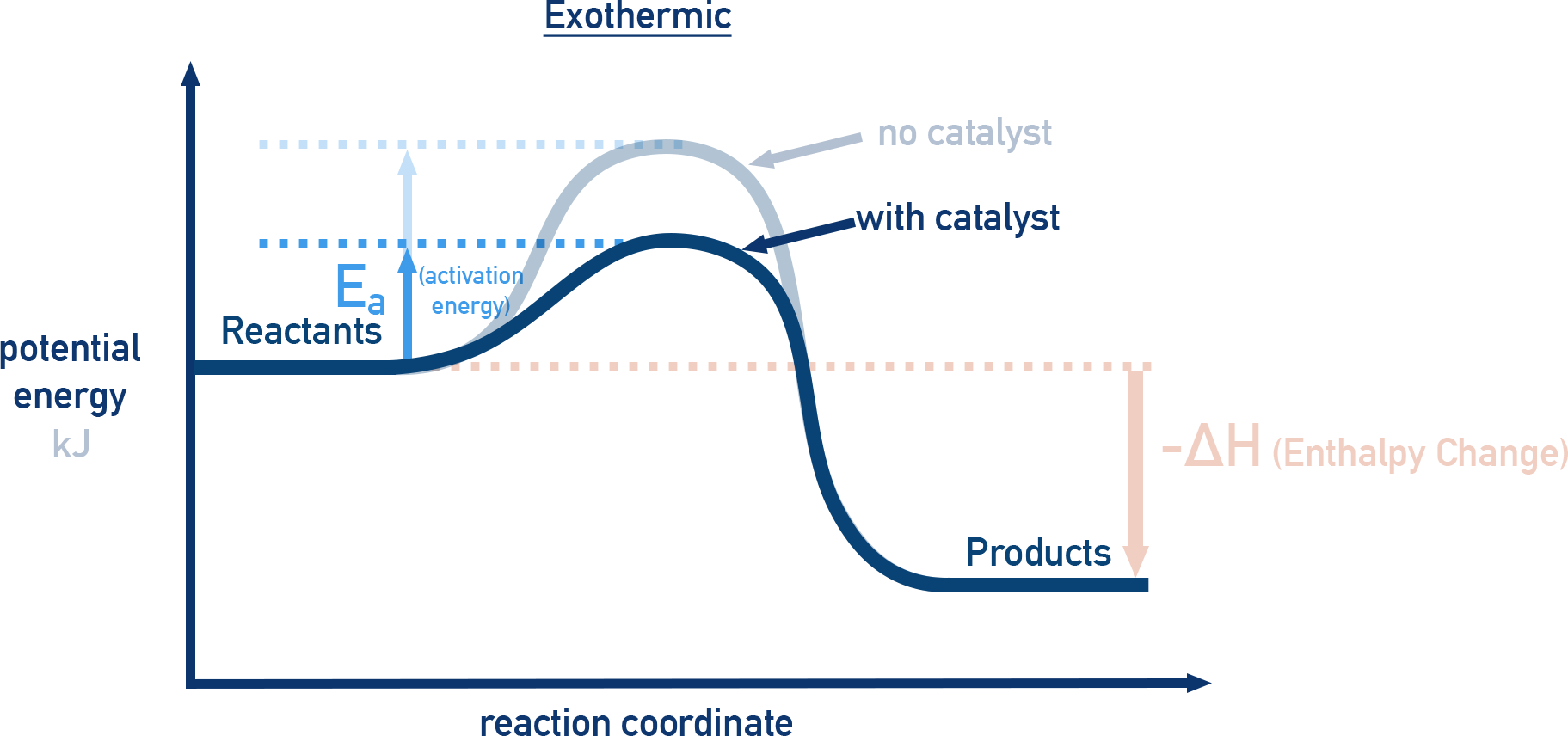 AP Chemistry Catalst affect on rate of reaction and kinetic energy of particles showing reaction profile with decreased activation energy.