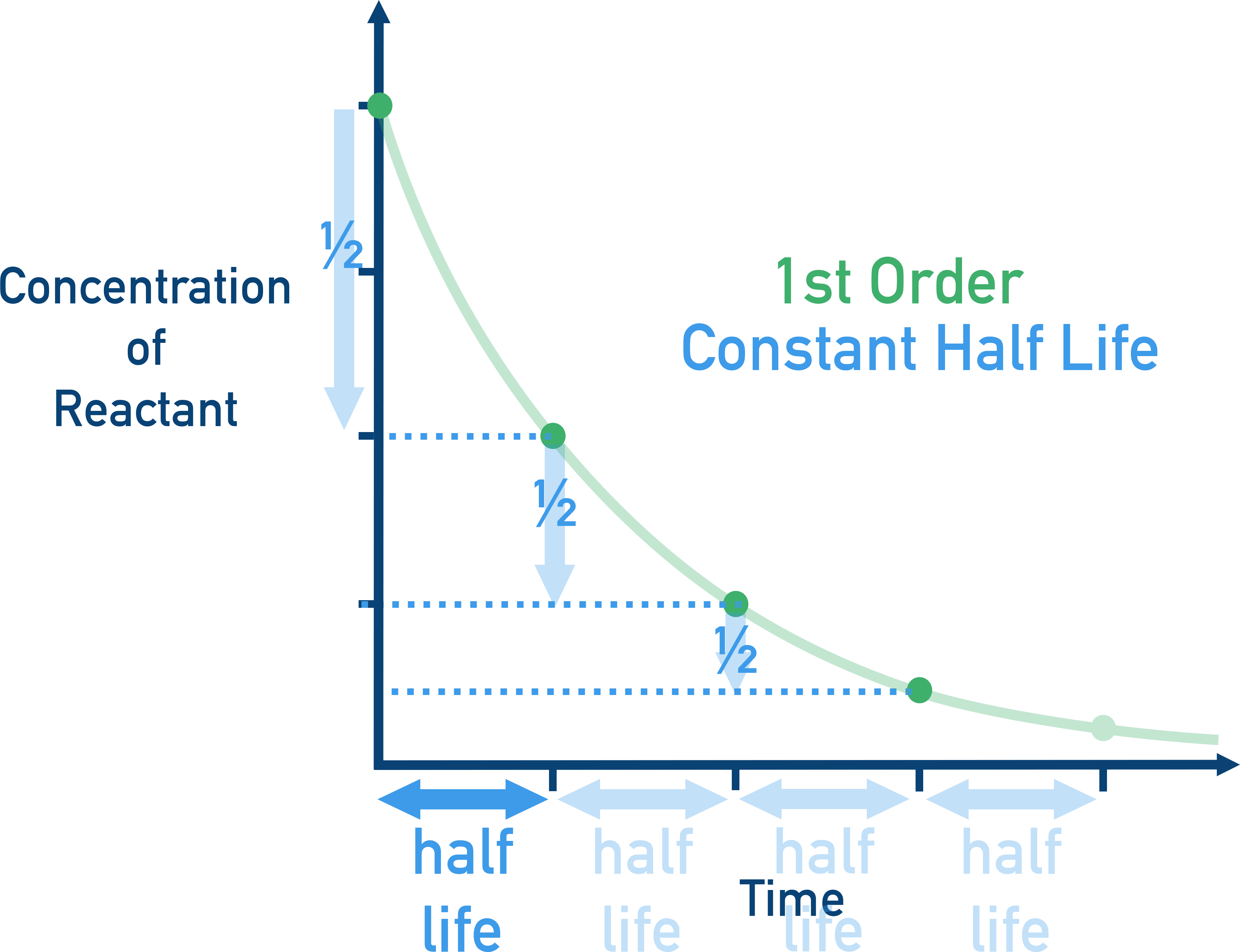 AP Chemistry Half-life graph for a first-order reaction