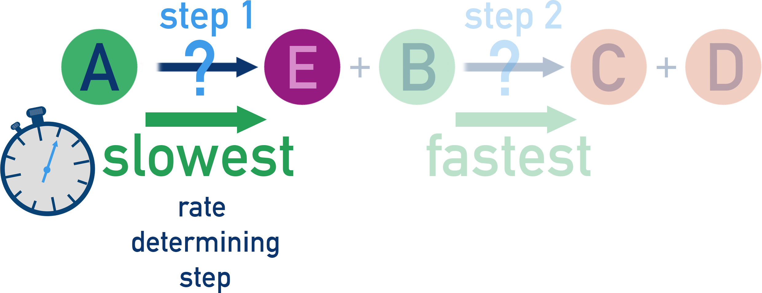 Slow first step controls the overall rate; fastest later step does not appear in the rate law.
