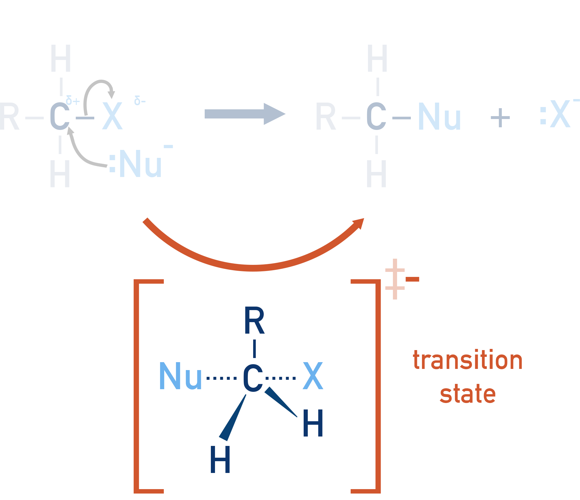AP Chemistry Transition State for nucleophilic substitution of nucleophile with halogenoalkane