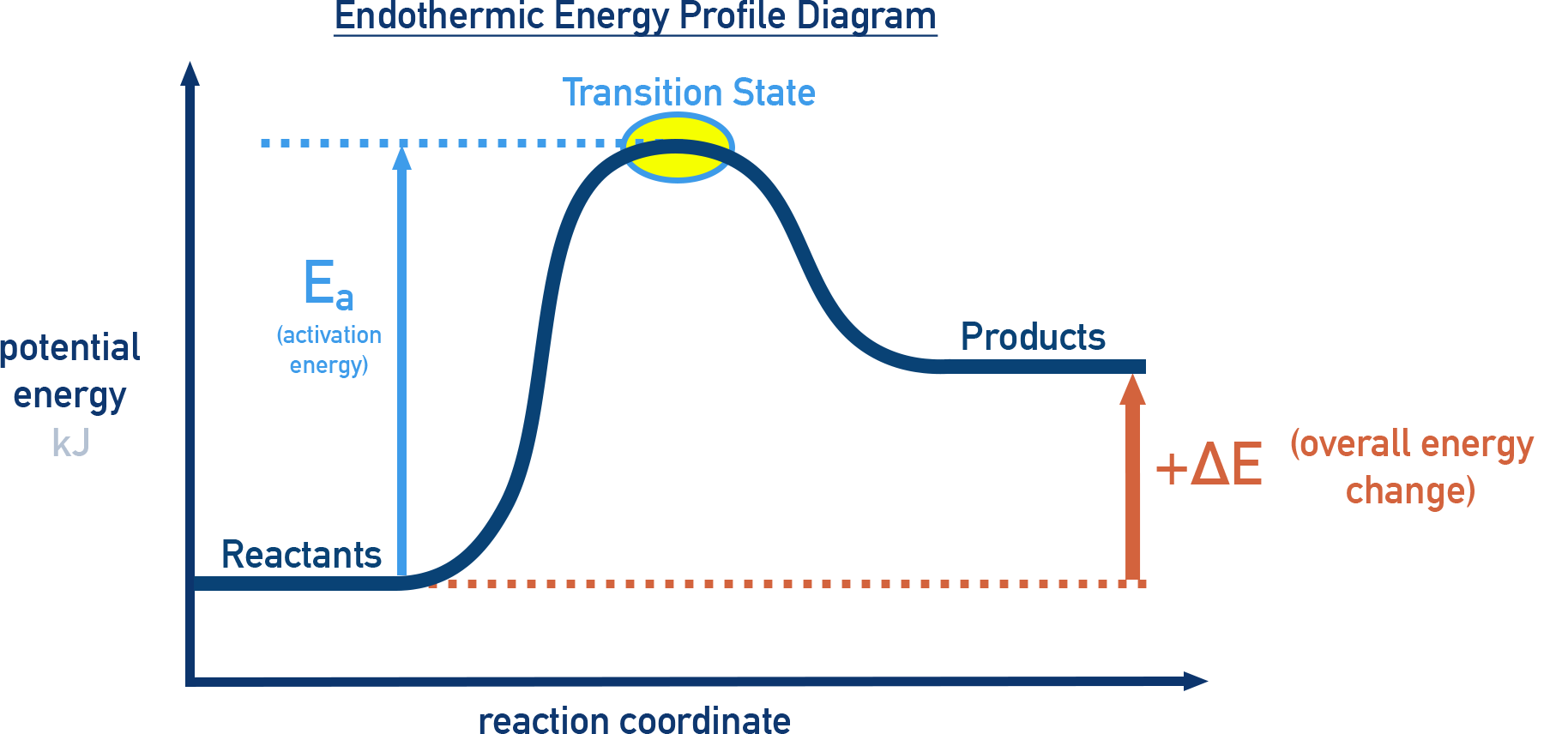 Endothermic energy profile diagram