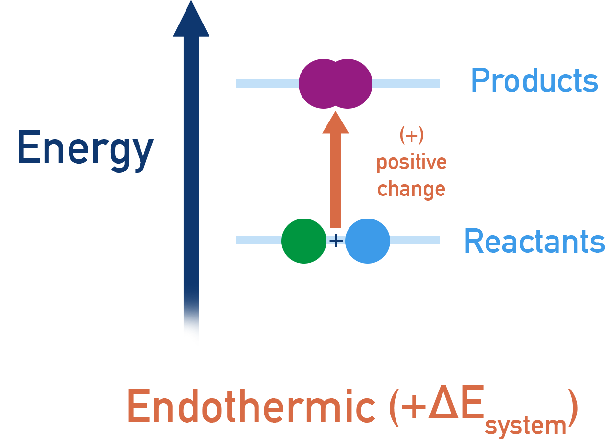 AP Chemistry endothermic diagram with products higher in energy than reactants