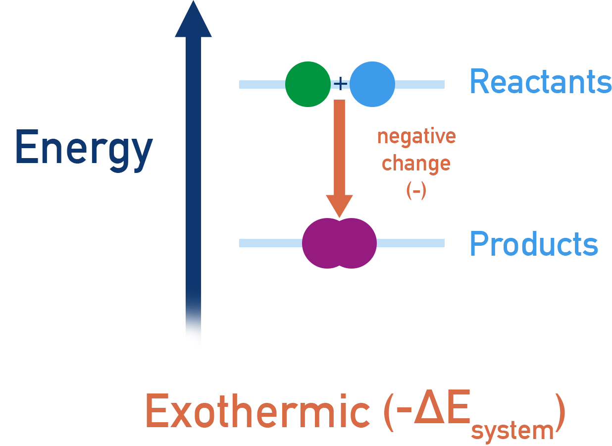 AP Chemistry exothermic diagram with products lower in energy than reactants