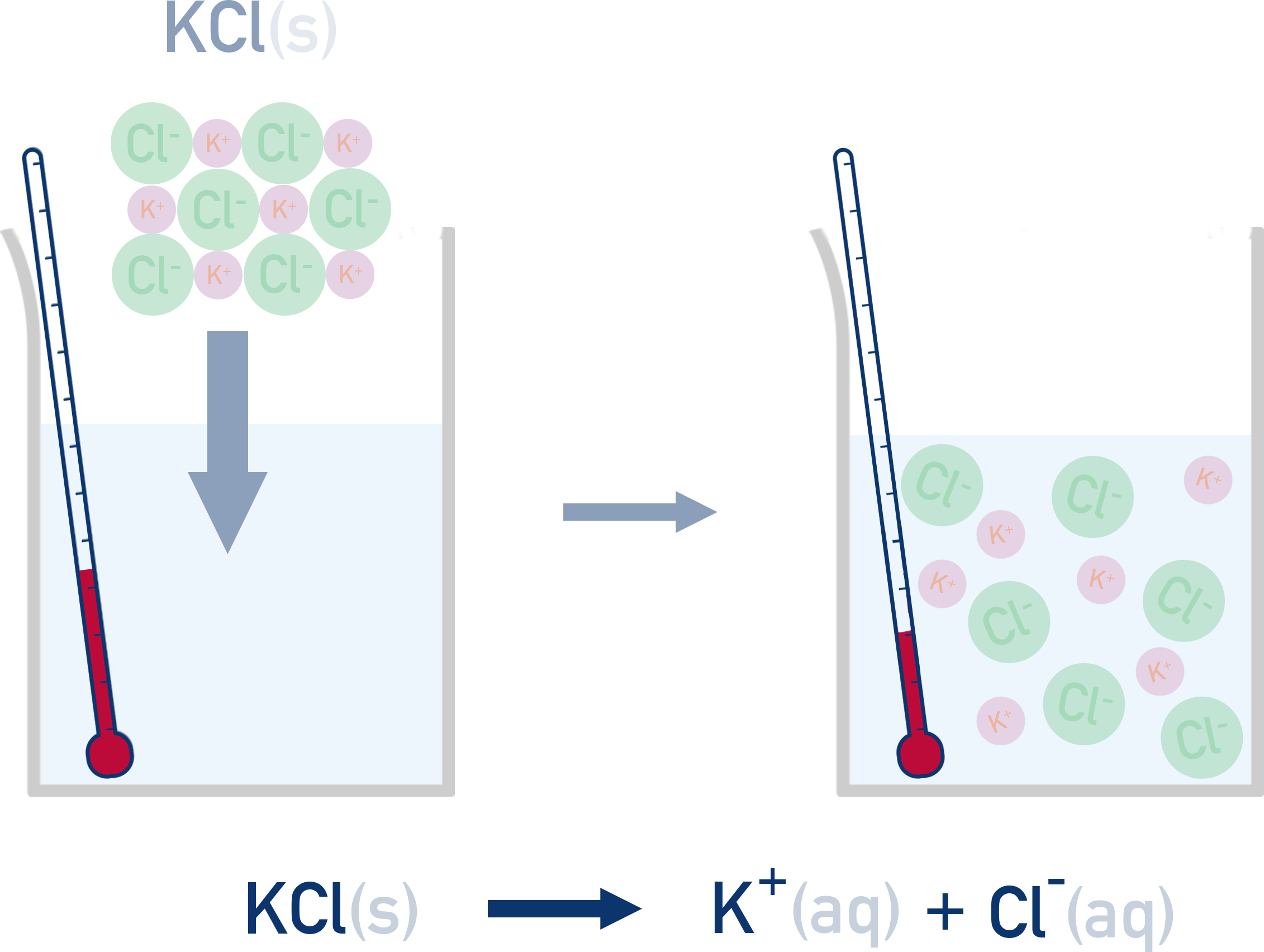 AP Chemistry Calorimetry diagram for dissolution