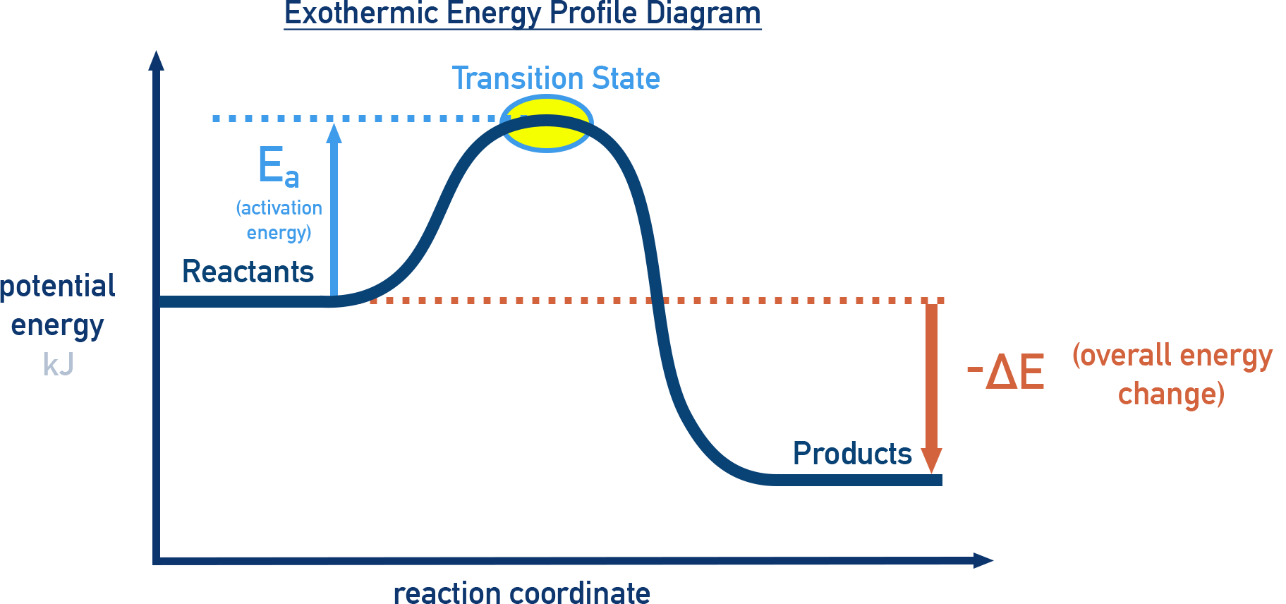Exothermic energy profile diagram