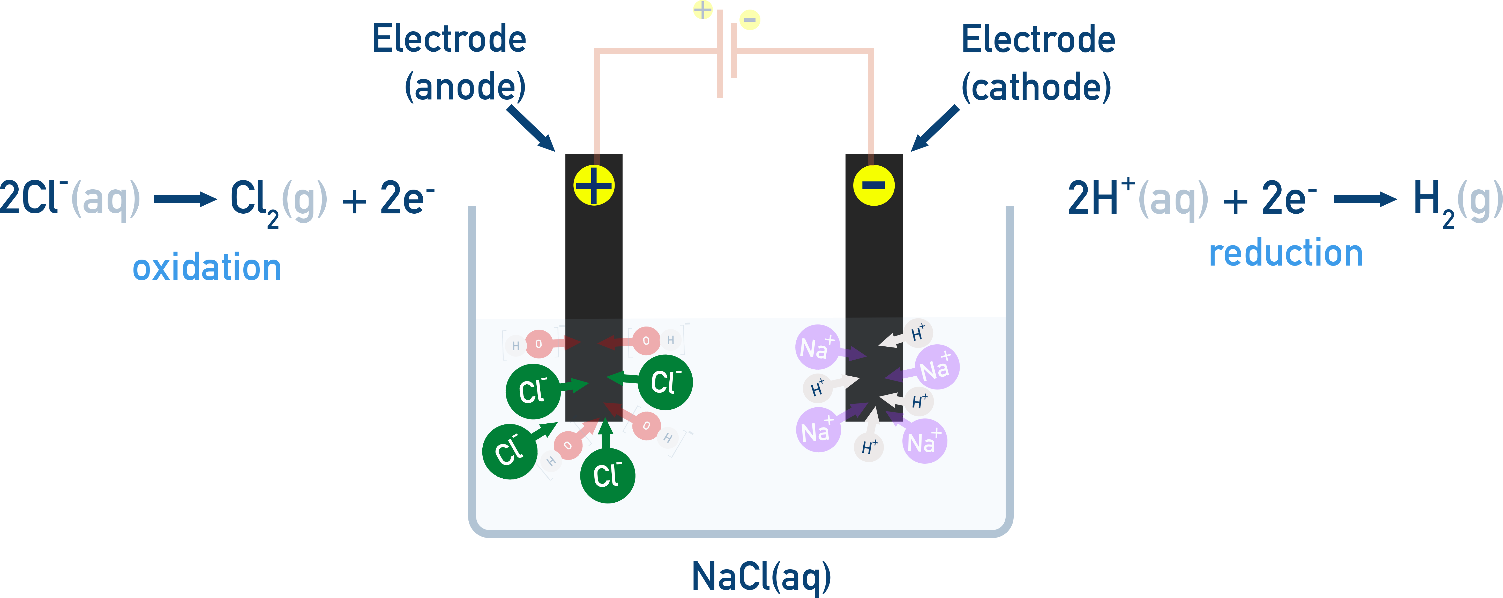 AP Chemistry diagram of electrolysis of NaCl(aq), showing oxidation at the anode (2Cl− → Cl₂ + 2e−) and reduction at the cathode (2H⁺ + 2e− → H₂).