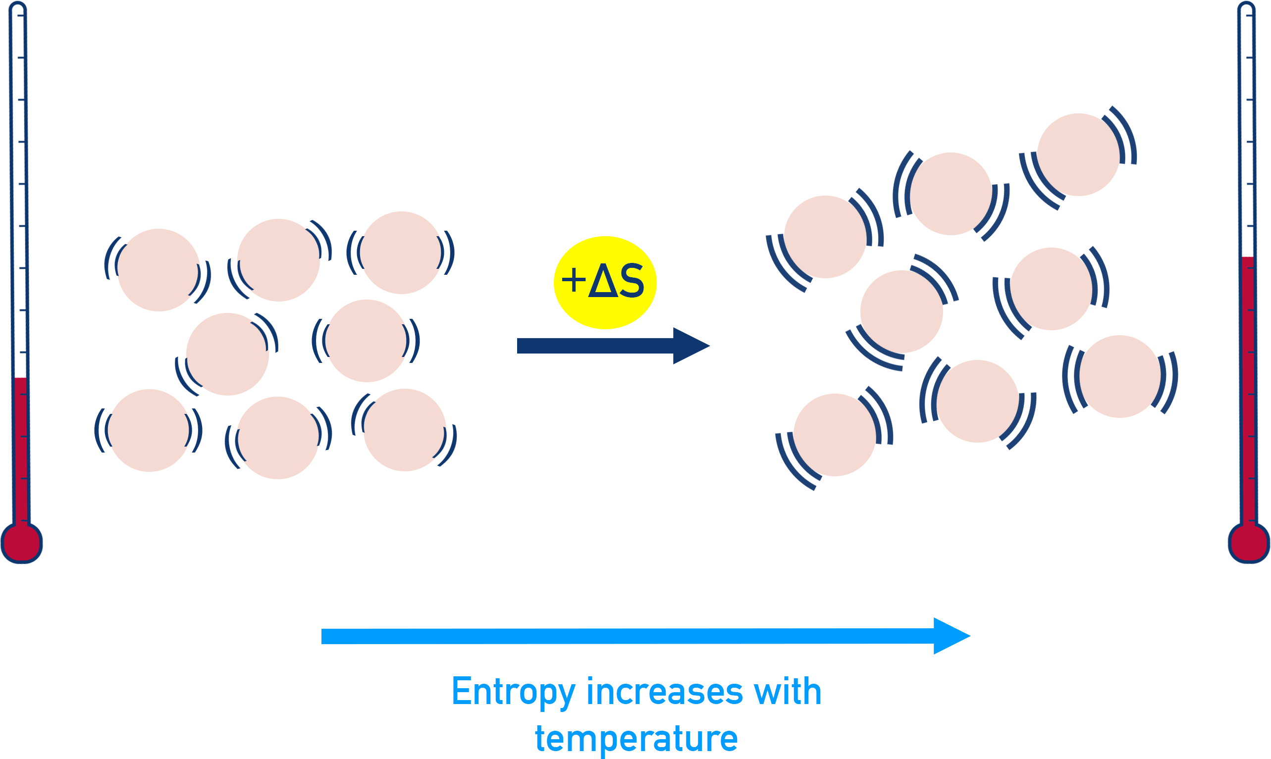AP Chemistry diagram illustrating that increasing temperature increases entropy due to greater molecular motion and energy dispersion.