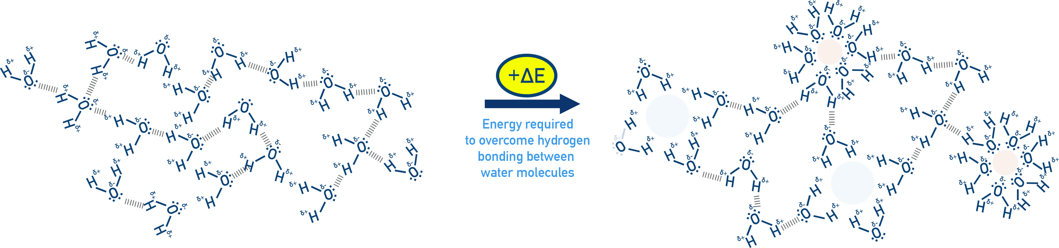 AP Chemistry diagram showing energy required to disrupt hydrogen bonding between water molecules to make space for ions.