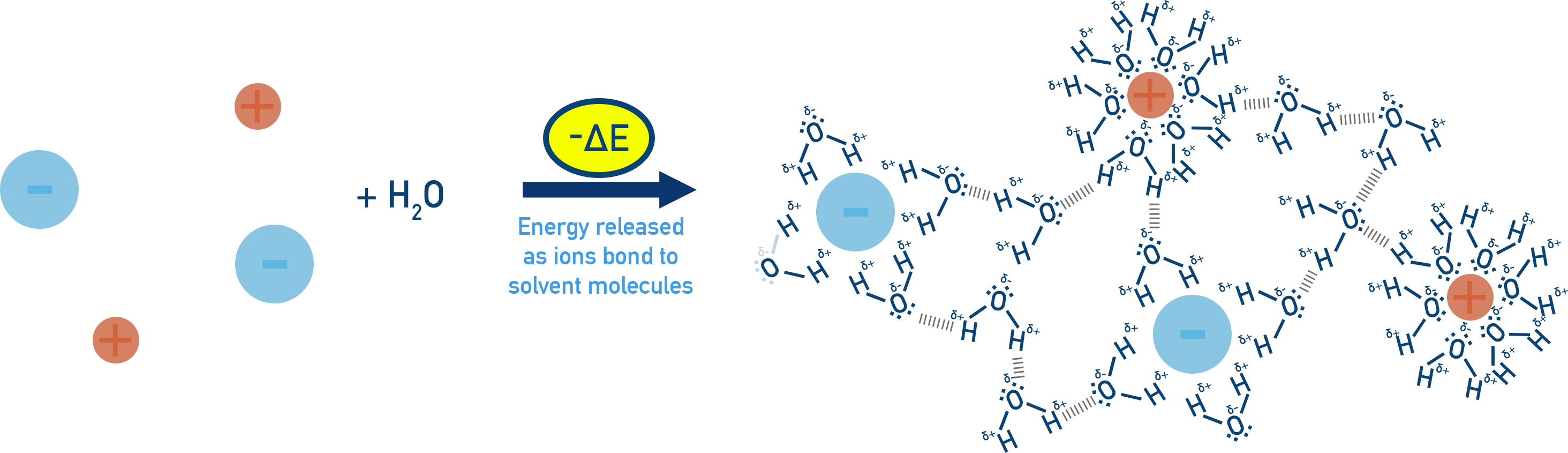 AP Chemistry diagram showing exothermic hydration of ions as water molecules form ion–dipole interactions around ions.