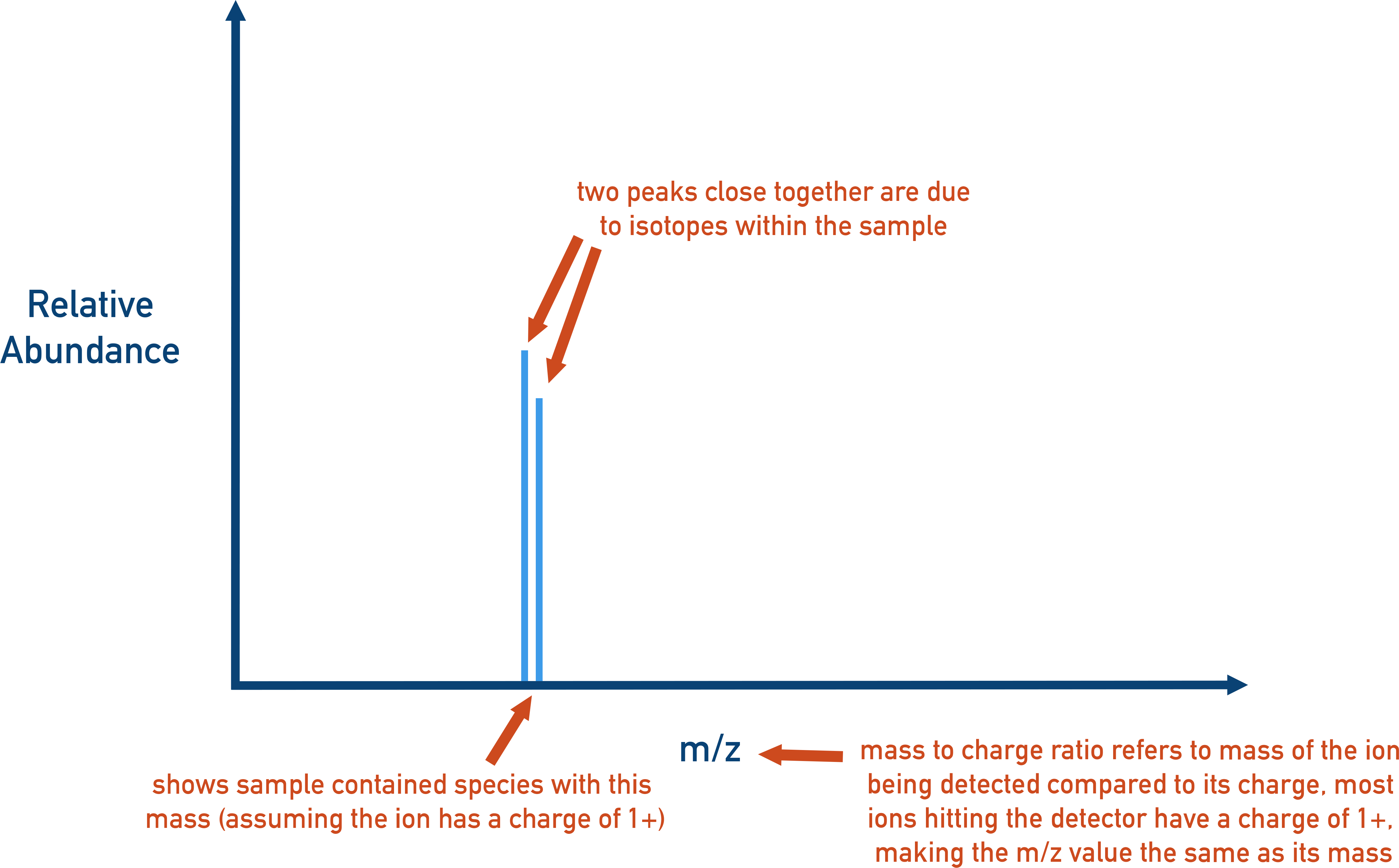 AP Chemistry diagram of a mass spectrum showing peaks due to isotopes and relative abundance.
