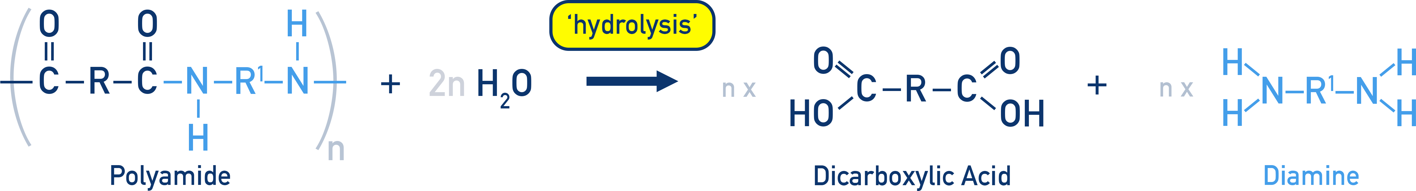 AQA A-Level Chemistry example of polyamide hydrolysis forming a diamine and a dicarboxylic acid