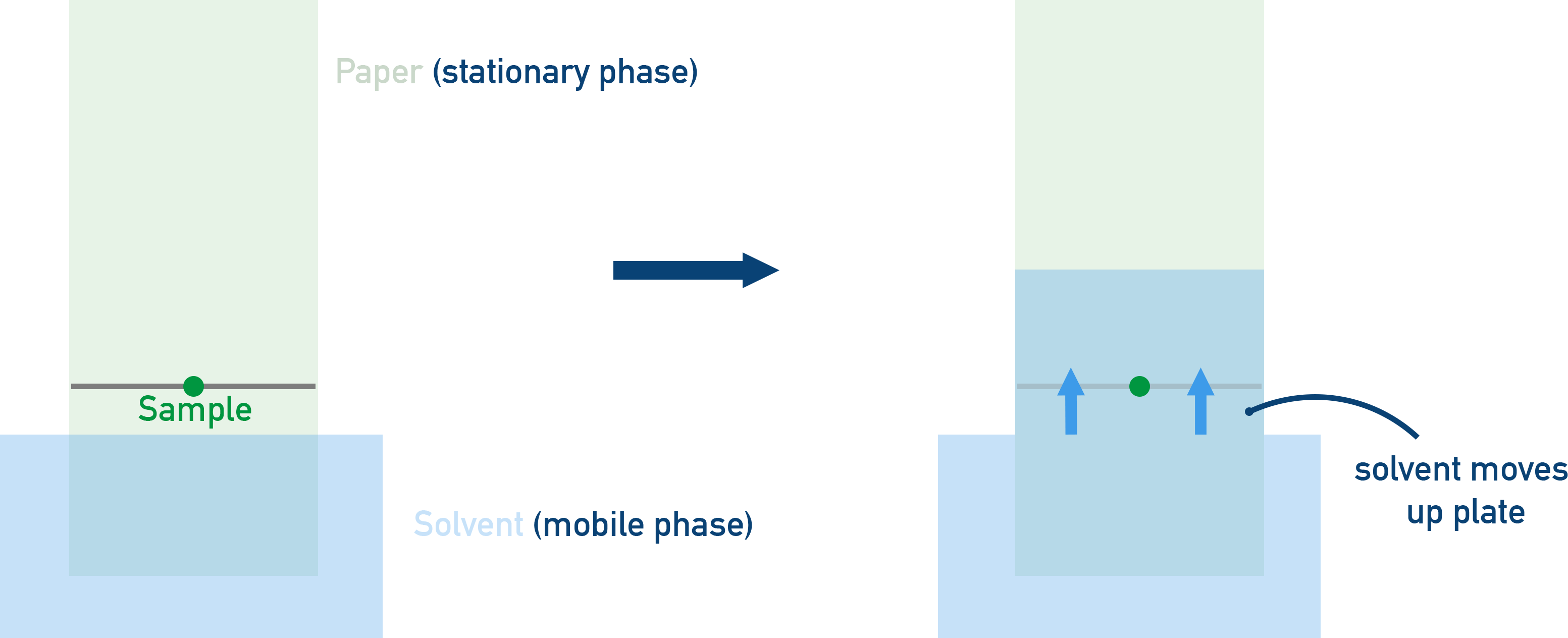 AQA A-Level Chemistry diagram of a TLC plate showing stationary phase on a solid plate and solvent mobile phase moving up by capillary action.