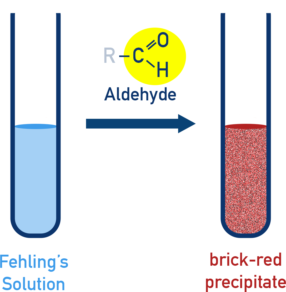 AQA A-Level Chemistry Fehling’s solution test showing brick-red precipitate with an aldehyde