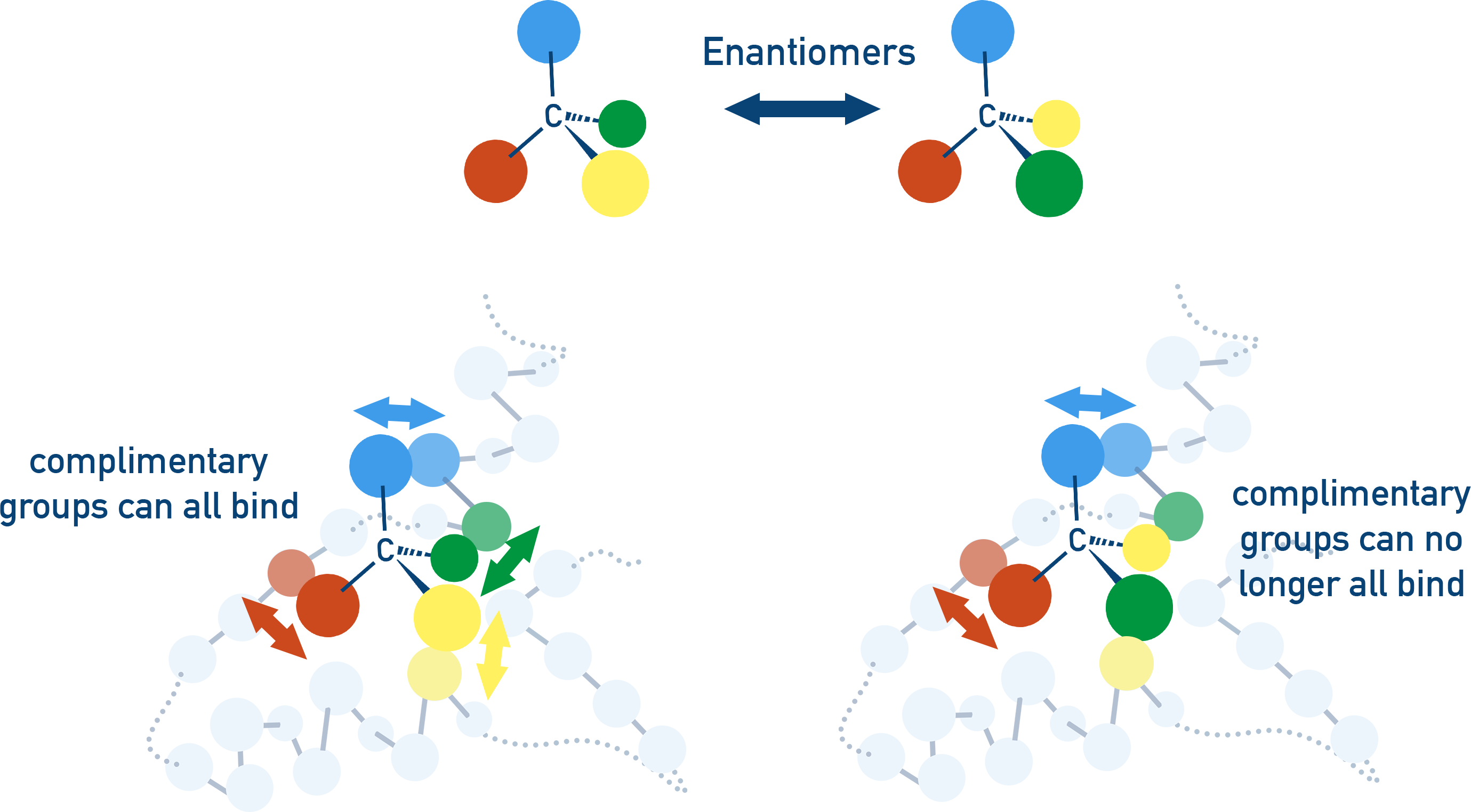 AQA A-Level Chemistry diagram showing stereospecific nature of an enzymes active site, binding only to one enantiomer
