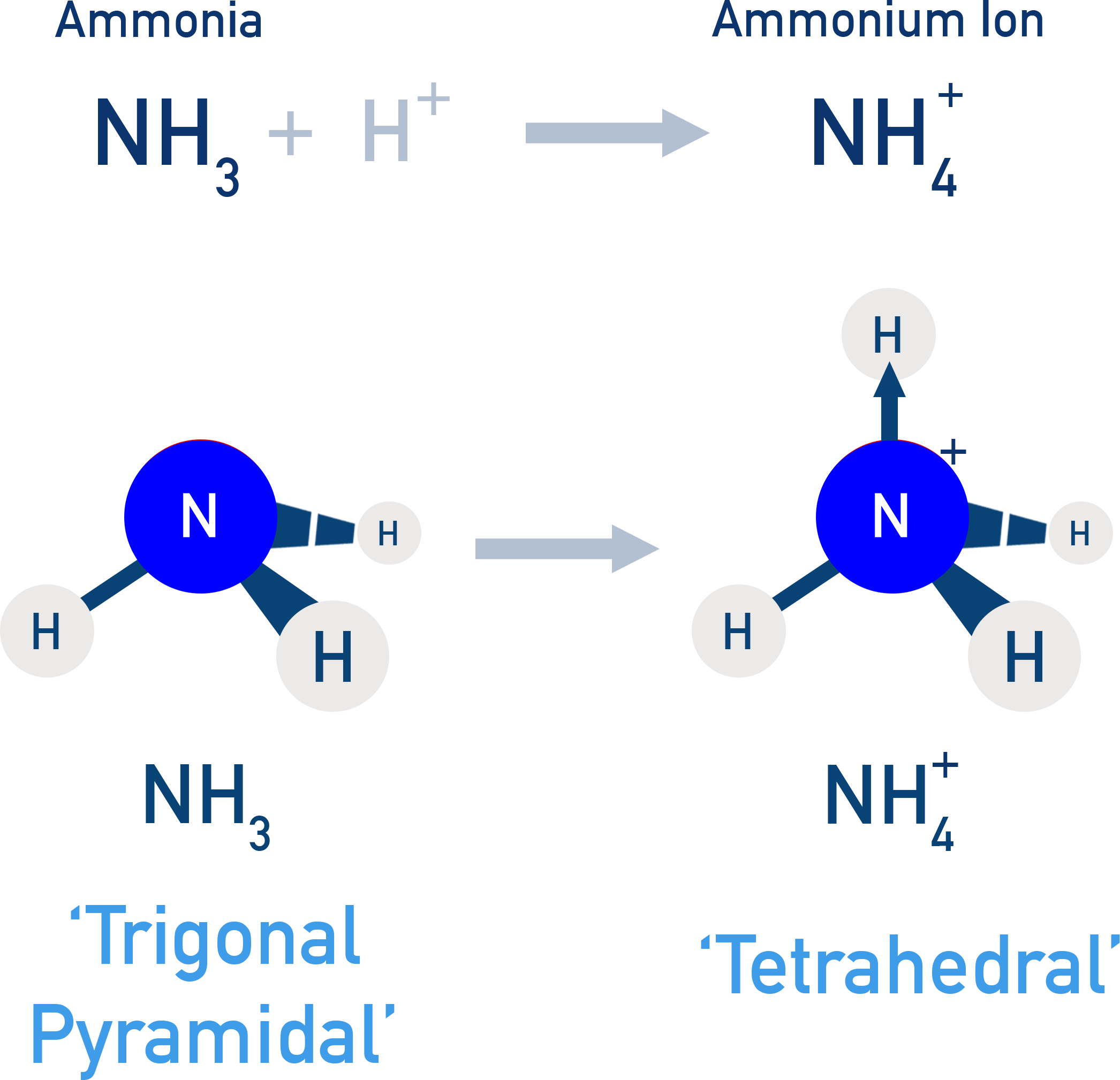 CIE A-Level Chemistry diagram showing the structure of ammonium ion NH4+ with dative bond.