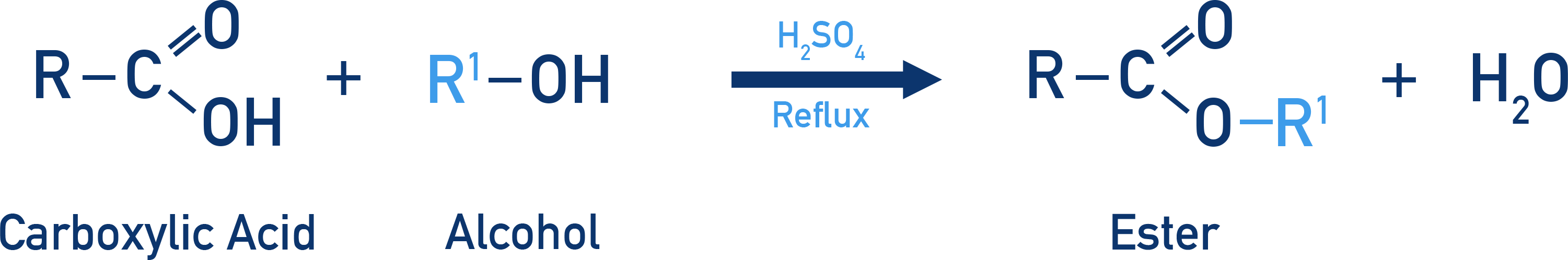 CIE A-Level Chemistry esterification of a carboxylic acid with an alcohol using concentrated sulfuric acid catalyst.