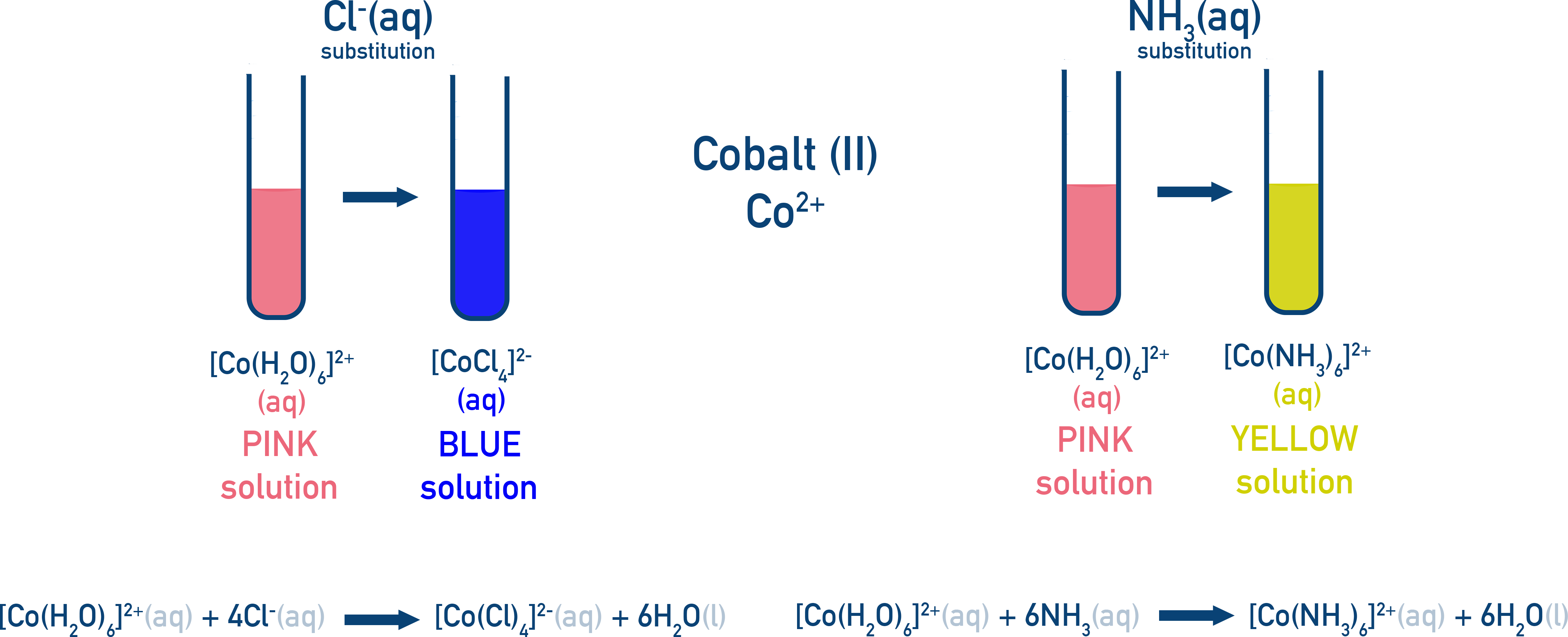 Ligand exchange of cobalt(II) aqua complex with chloride and ammonia.