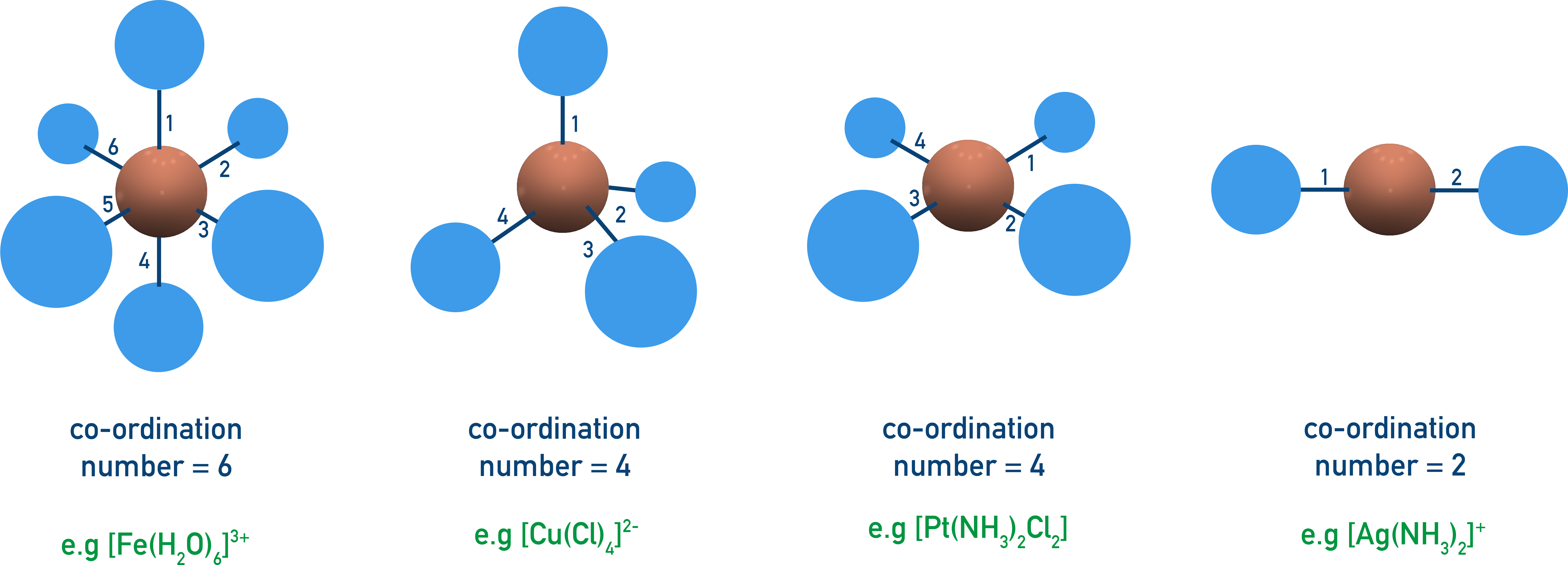 Linear, tetrahedral, square planar and octahedral complex shapes.