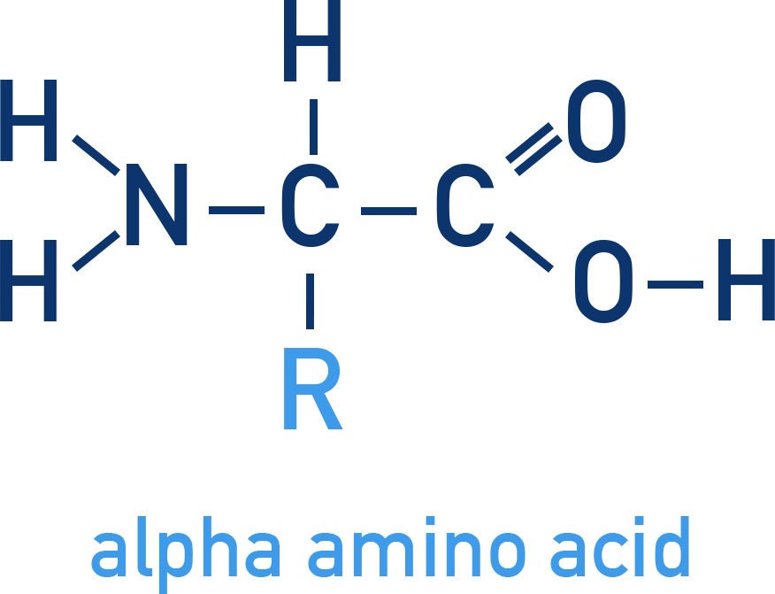 CIE A-Level Chemistry diagram showing the general structure of an alpha amino acid with amine, carboxyl, and R group.