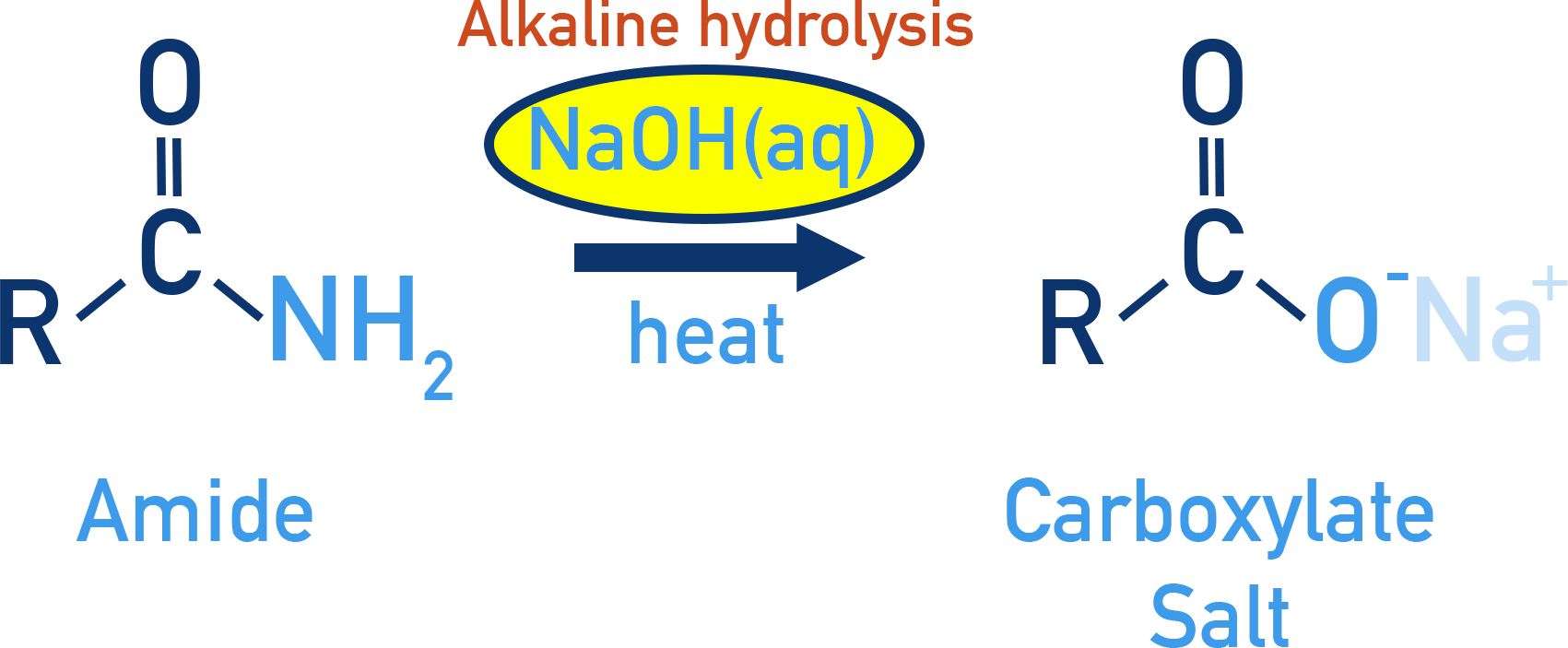 CIE A-Level Chemistry alkali hydrolysis of amides forming a carboxylate salt and ammonia.