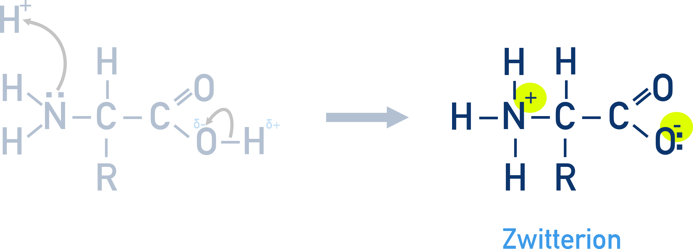 CIE A-Level Chemistry diagram showing formation of zwitterion at isoelectric point.
