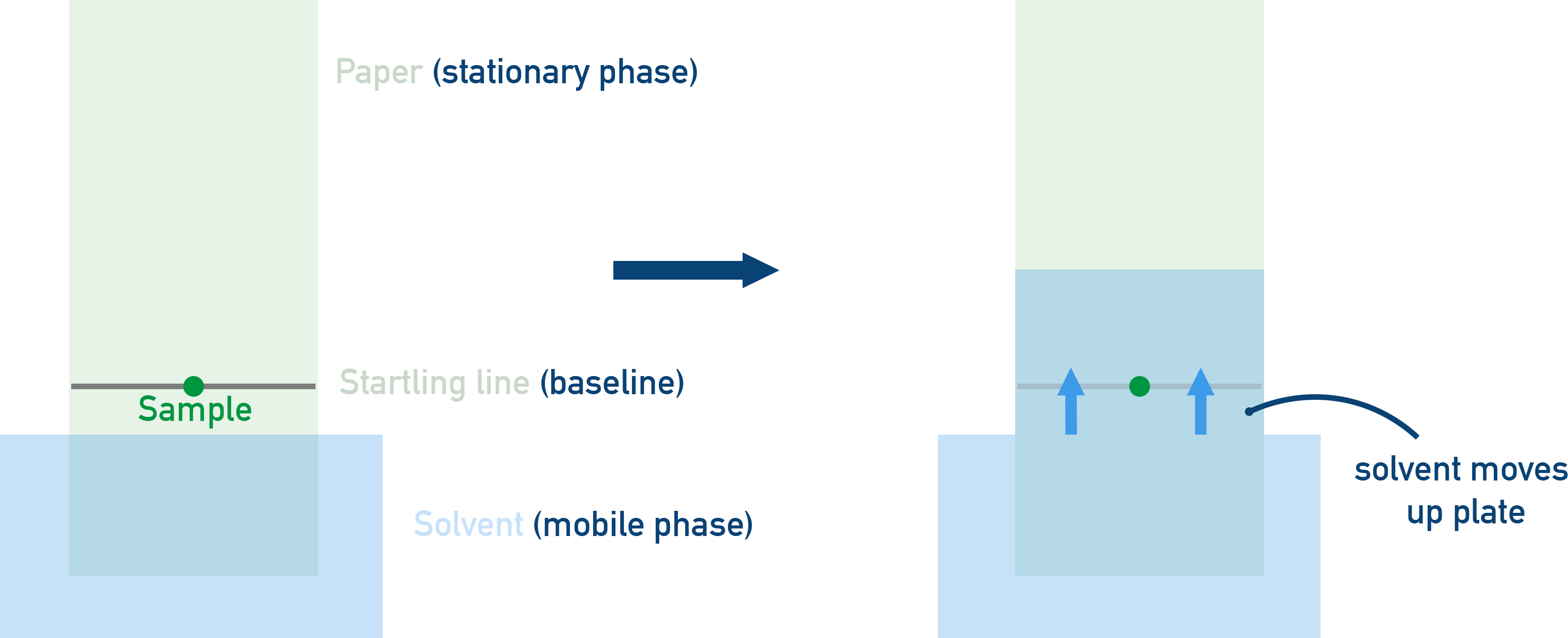 CIE A-Level Chemistry diagram of a TLC plate setup showing stationary phase, solvent, baseline, and solvent front.