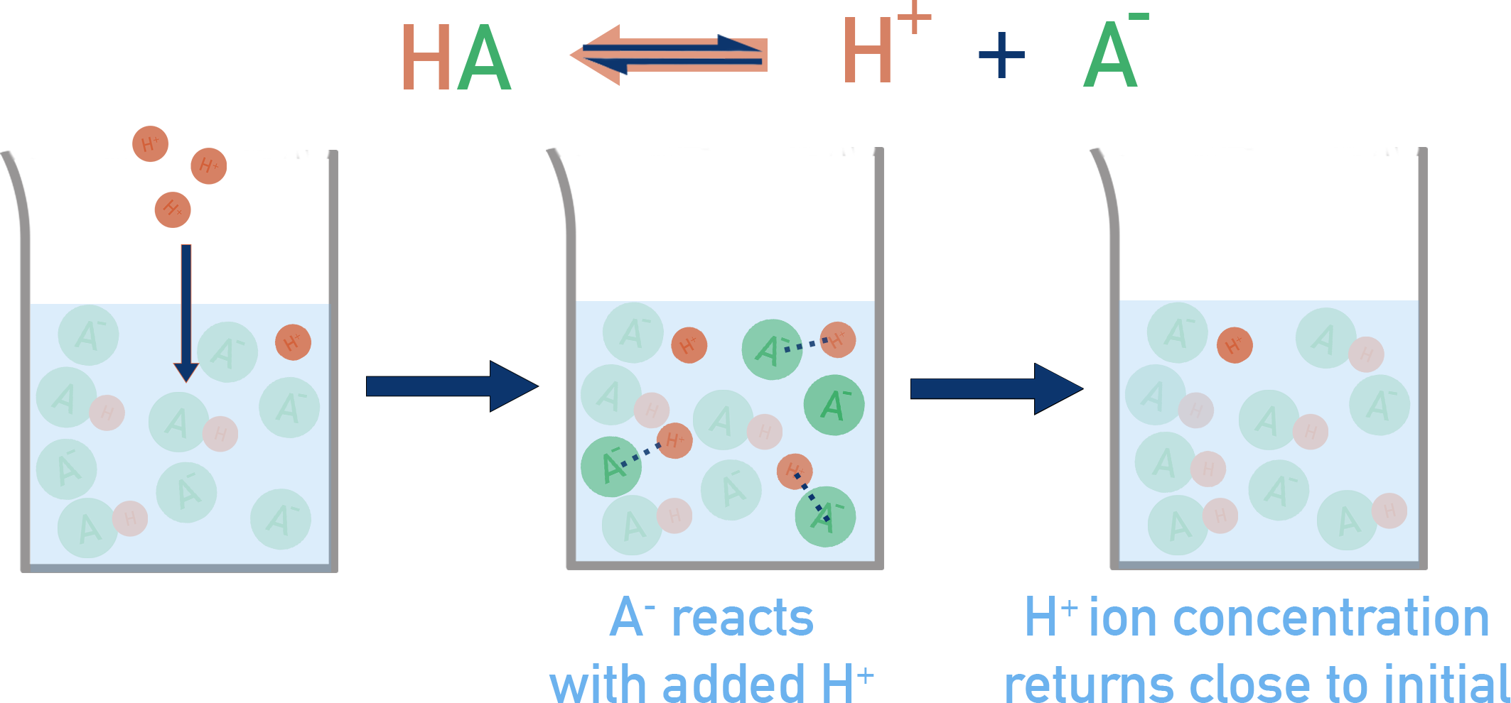 AQA A-Level Chemistry diagram showing A− reacting with added H+ to form HA in an acidic buffer