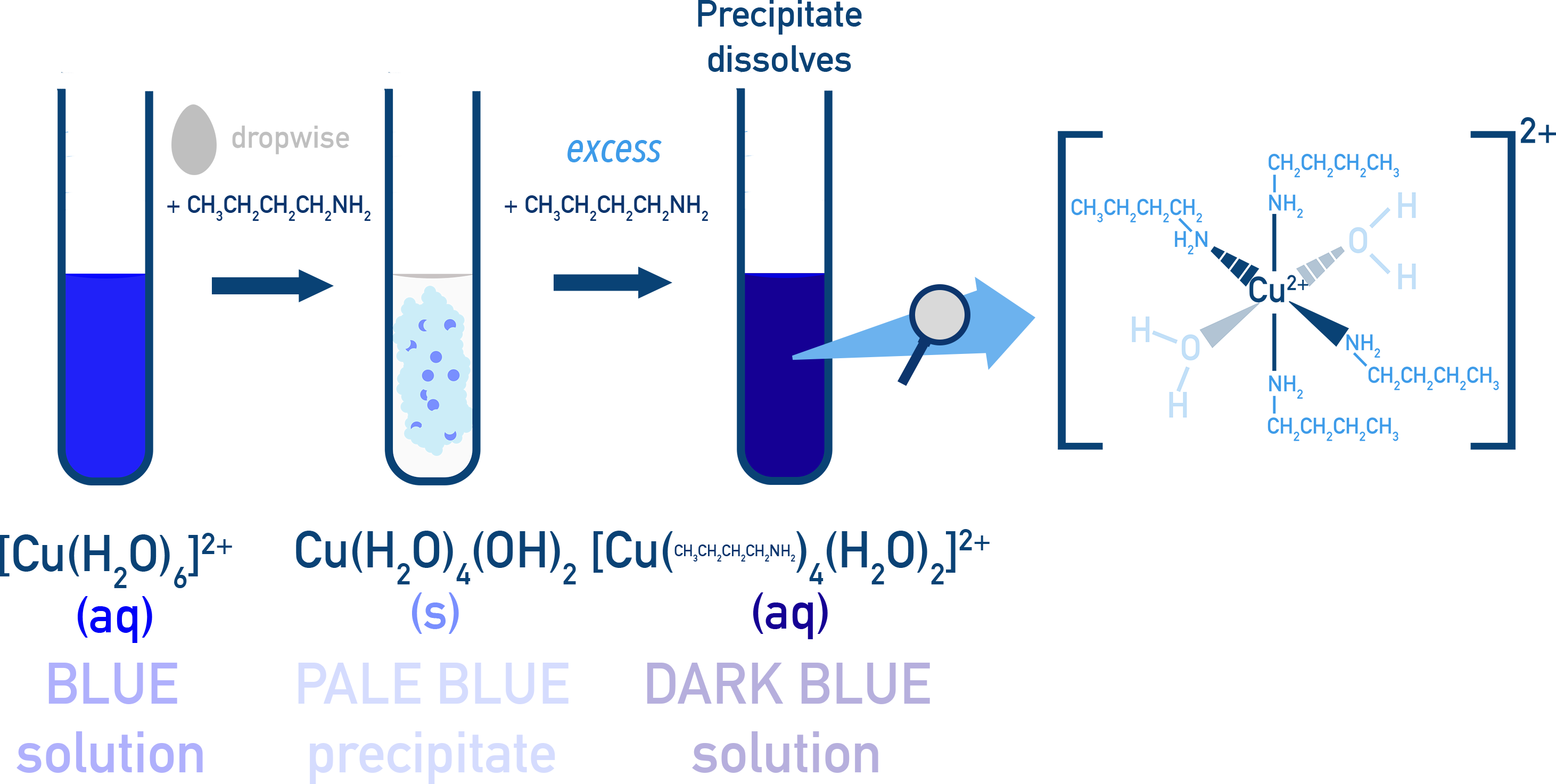 Edexcel A-Level Chemistry formation of deep blue tetraamminecopper(II) complex in excess amine.