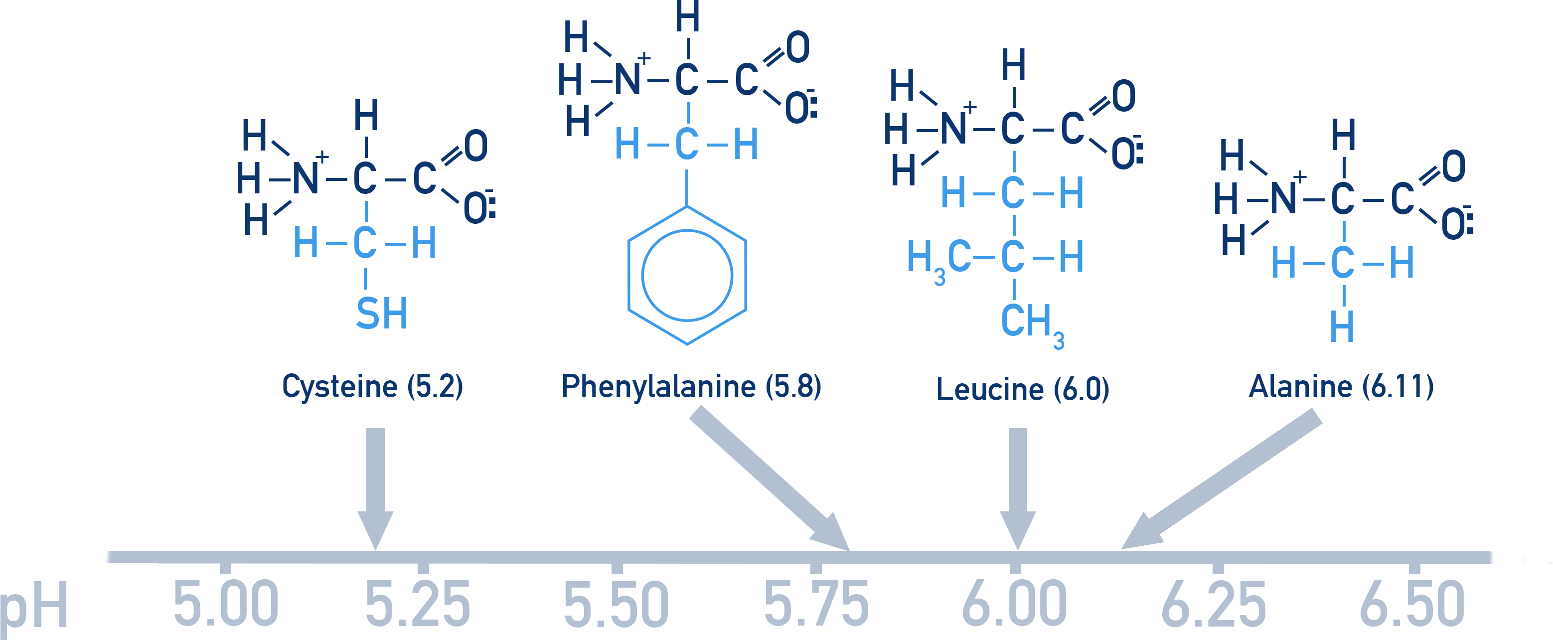Edexcel A-Level Chemistry comparison image showing different amino acids existing as zwitterions at slightly different pH values.