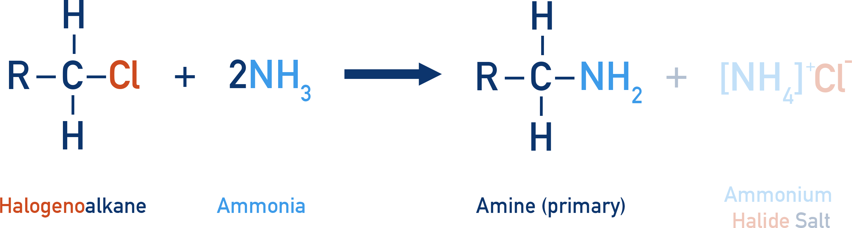 Edexcel A-Level Chemistry synthesis of primary amine from haloalkane with excess ammonia producing ammonium salt by-product.