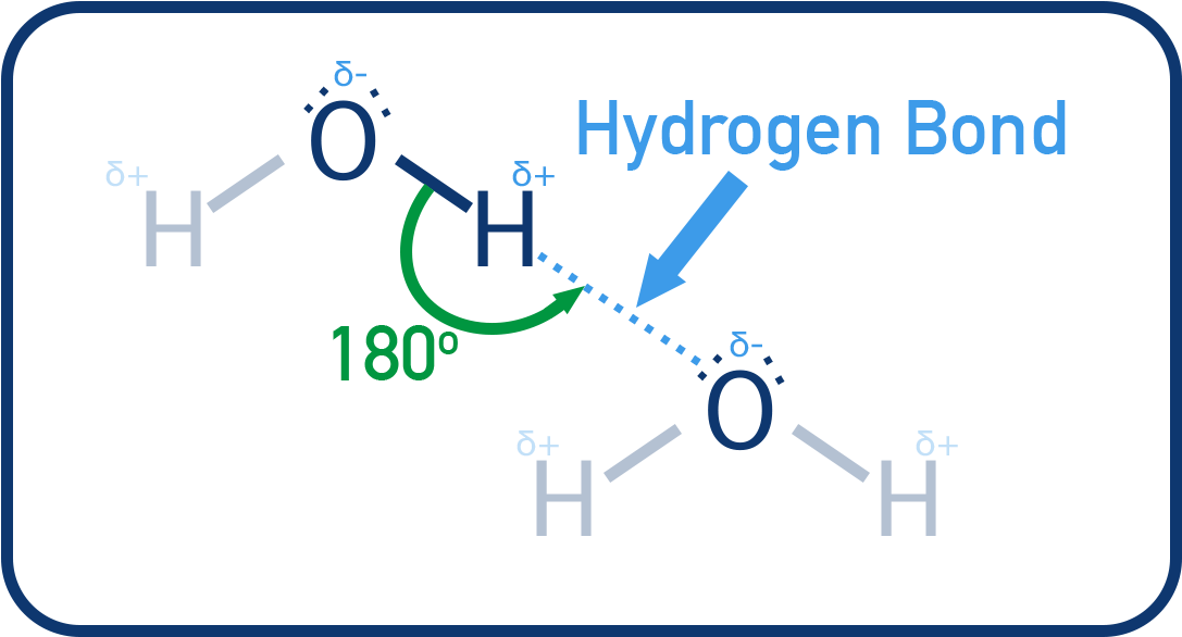 Edexcel A-Level Chemistry diagram showing correct hydrogen bonding between two water molecules with dotted line, lone pairs, and partial charges.