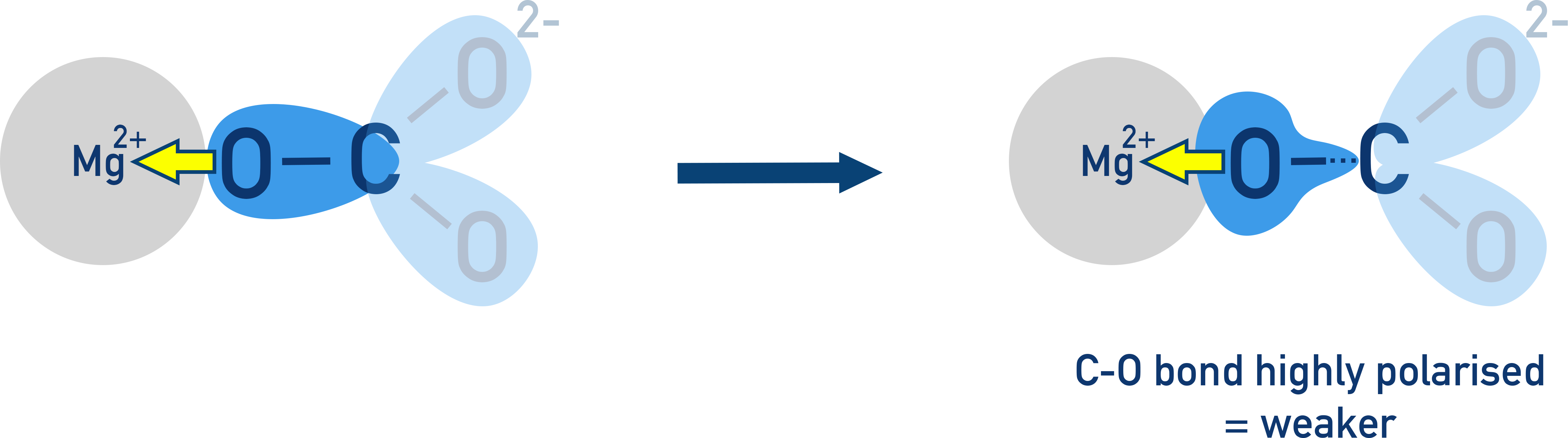 Edexcel A-Level Chemistry carbonate ion polarised by Mg2+ ion showing how C-O bond is weakend.