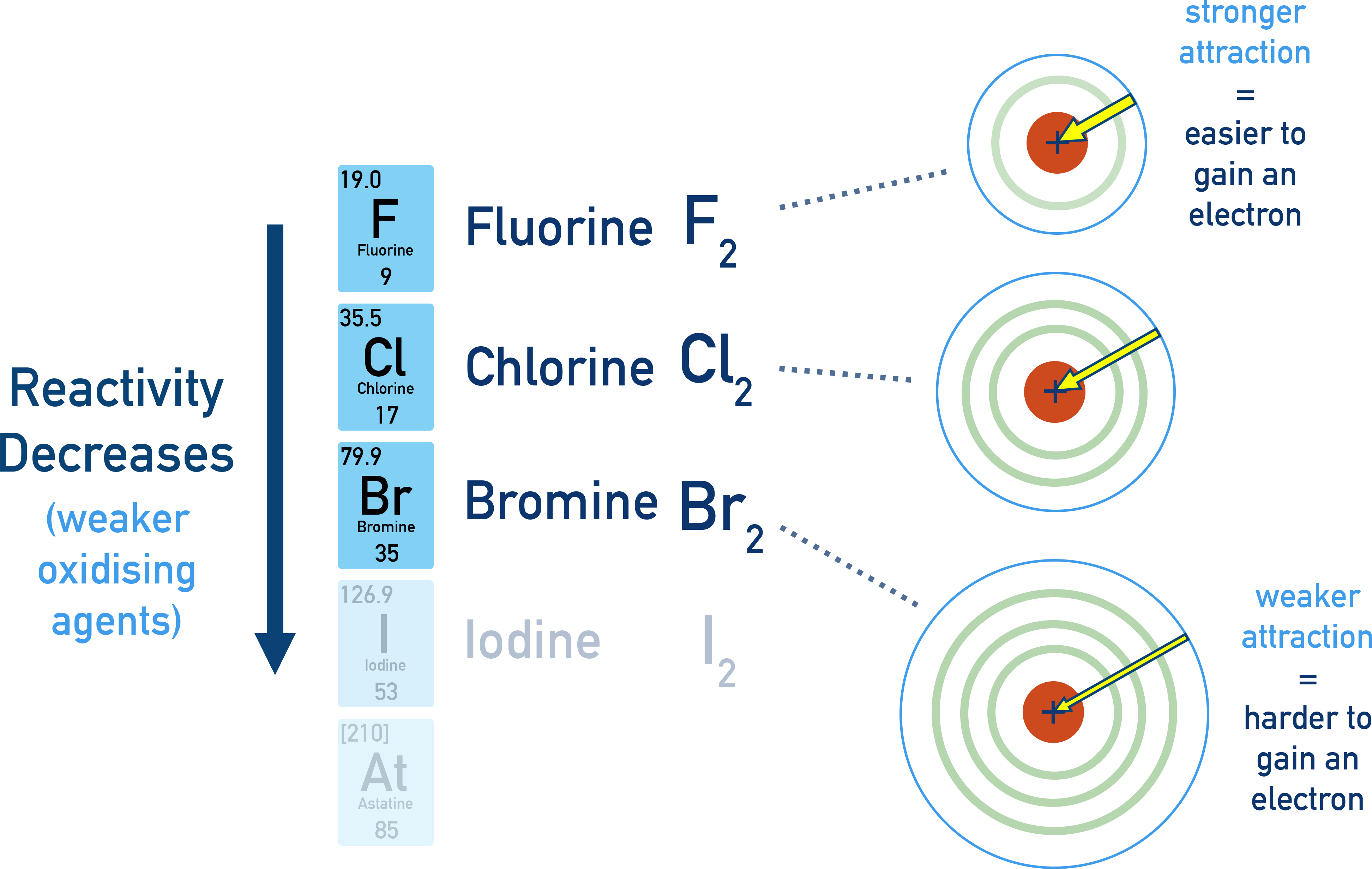 Edexcel A-Level Chemistry schematic showing decreasing reactivity of halogens down the group.