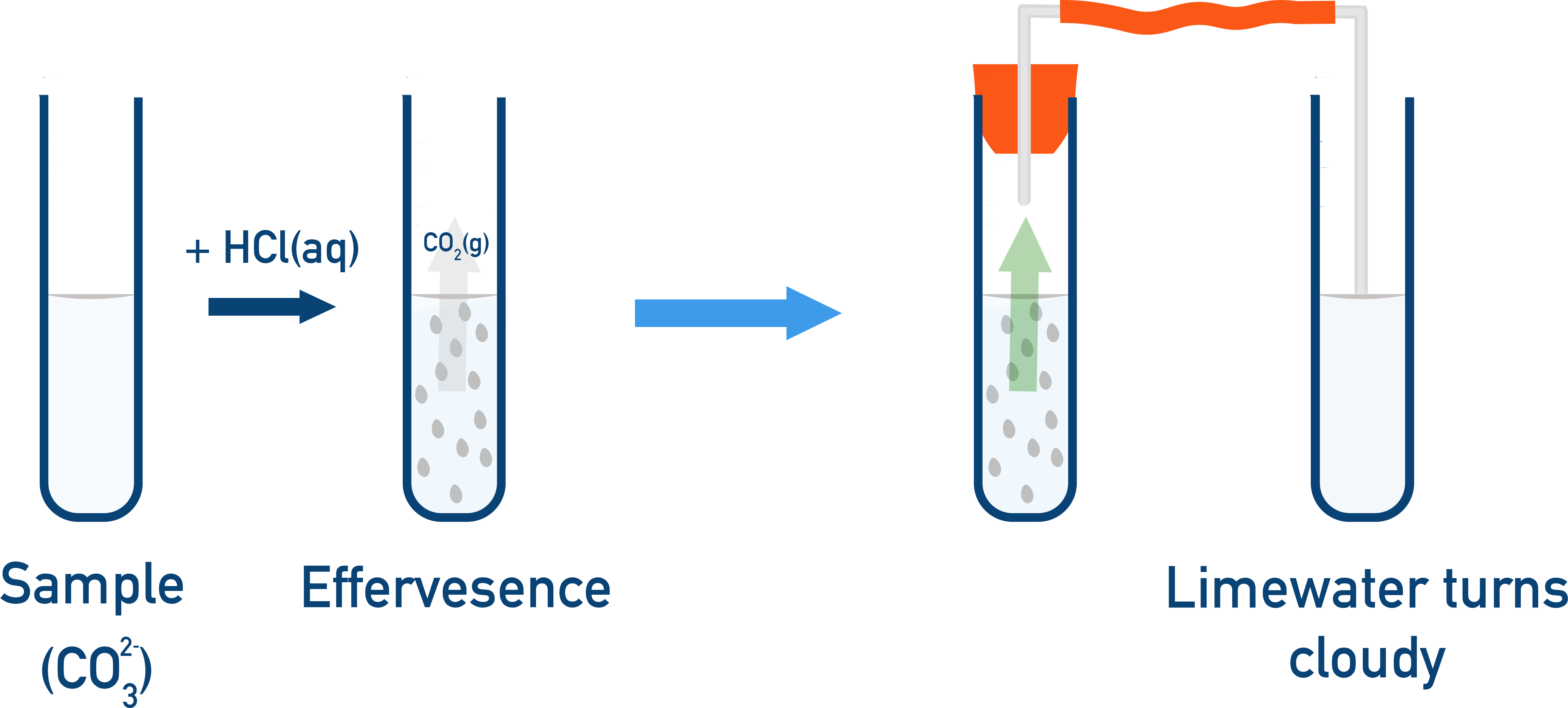 Carbonate test producing CO₂ bubbles in limewater