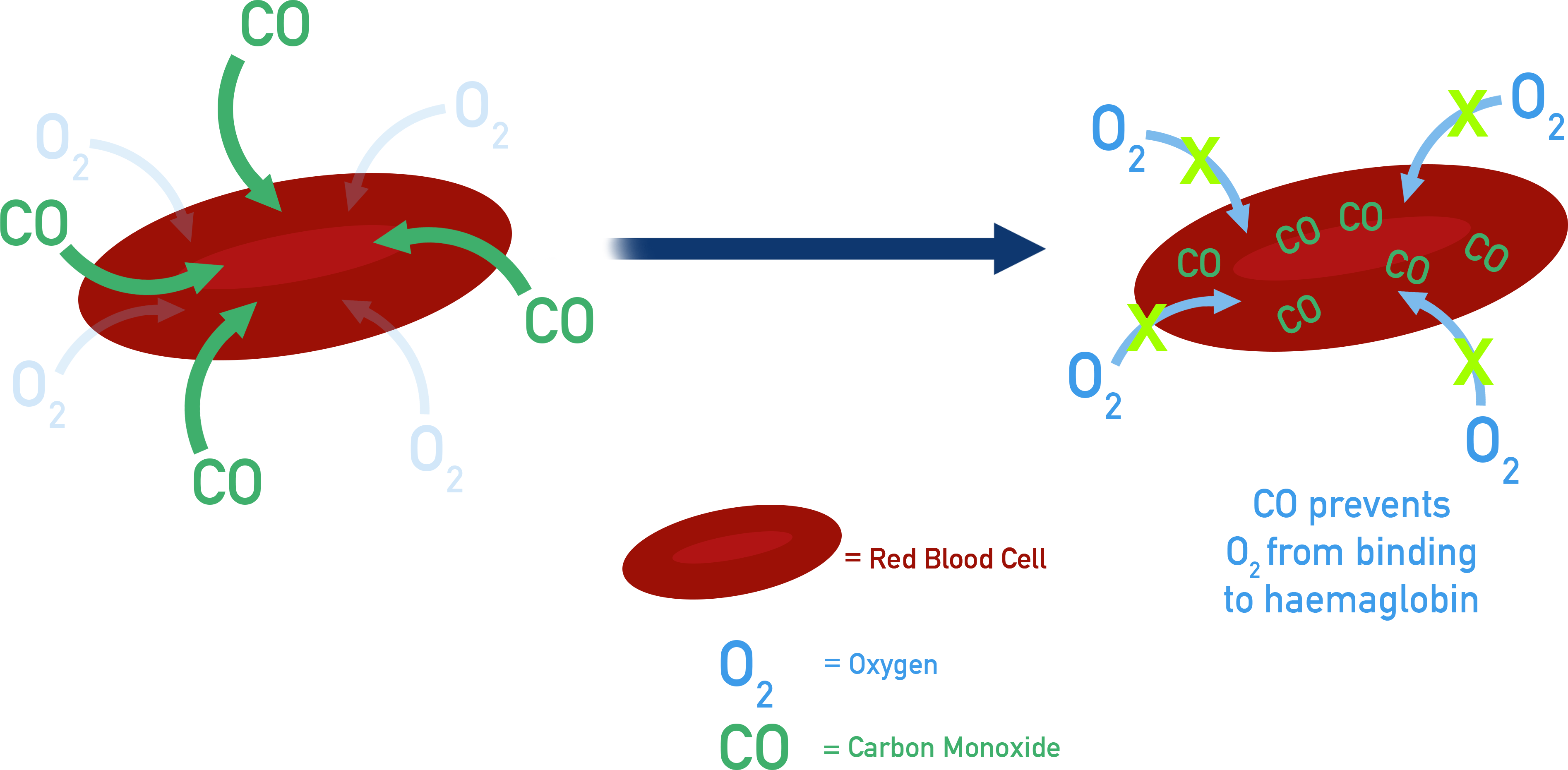 IB Chemistry diagram showing carbon monoxide binding to haemoglobin, preventing oxygen transport in the blood.
