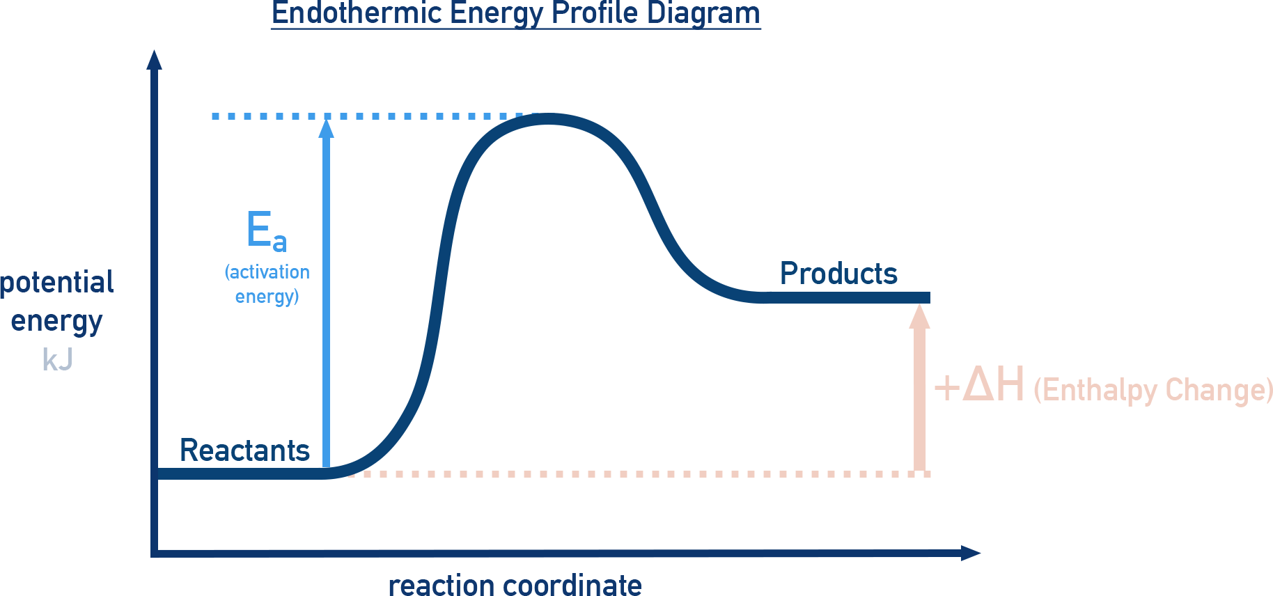 IB Chemistry endothermic reaction profile diagram showing reactants at lower energy, products at higher energy, and activation energy hump.