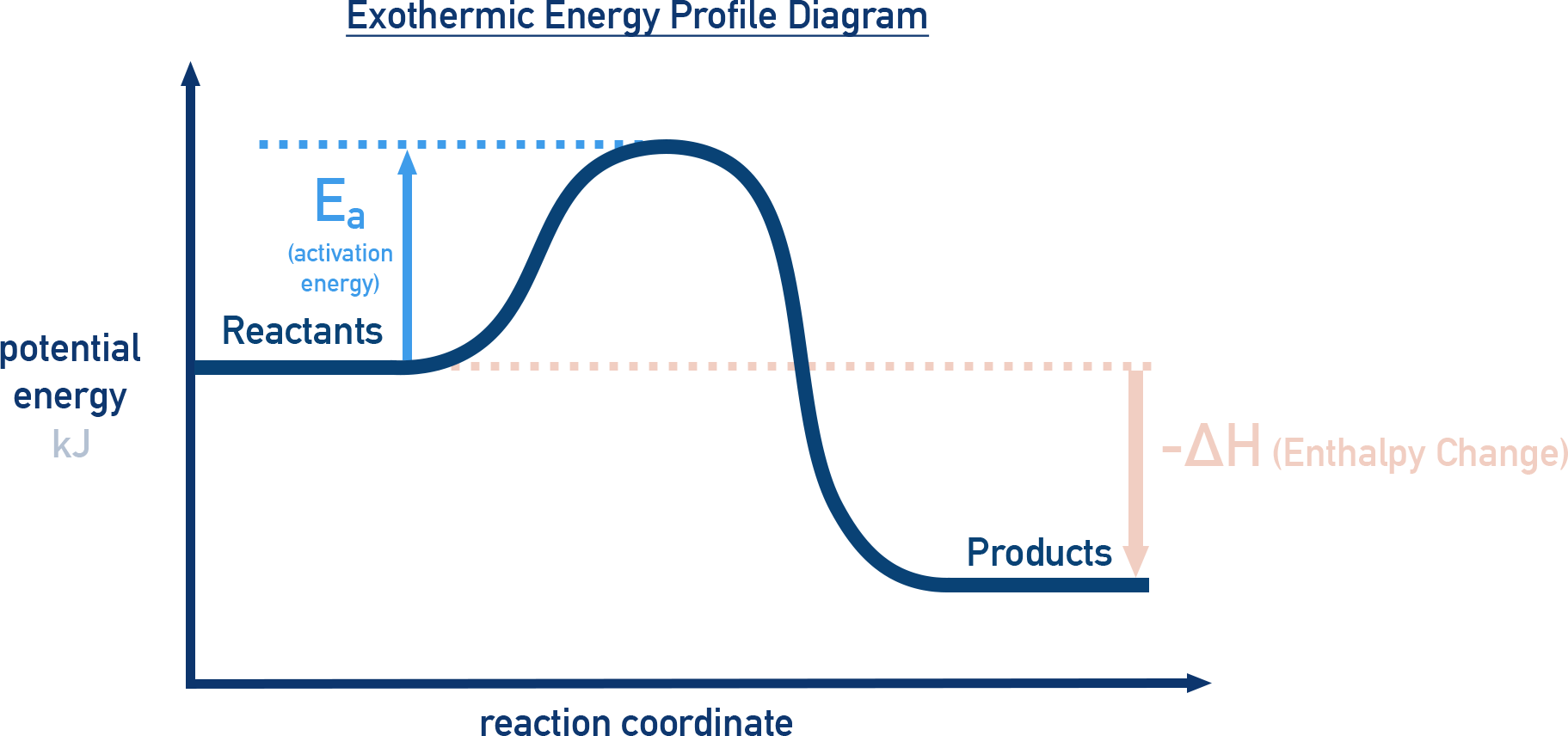IB Chemistry exothermic reaction profile diagram showing reactants at higher energy, products at lower energy, and activation energy hump.