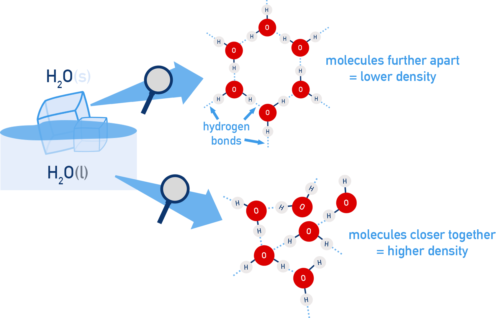 IB Chemistry diagram showing the open hydrogen-bonded structure of ice compared to liquid water.