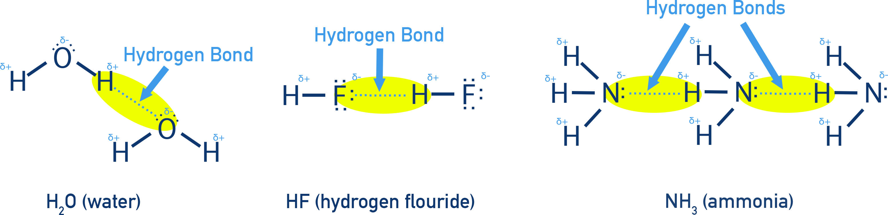 IB Chemistry diagram of hydrogen bonding between molecules with O–H and N–H groups.