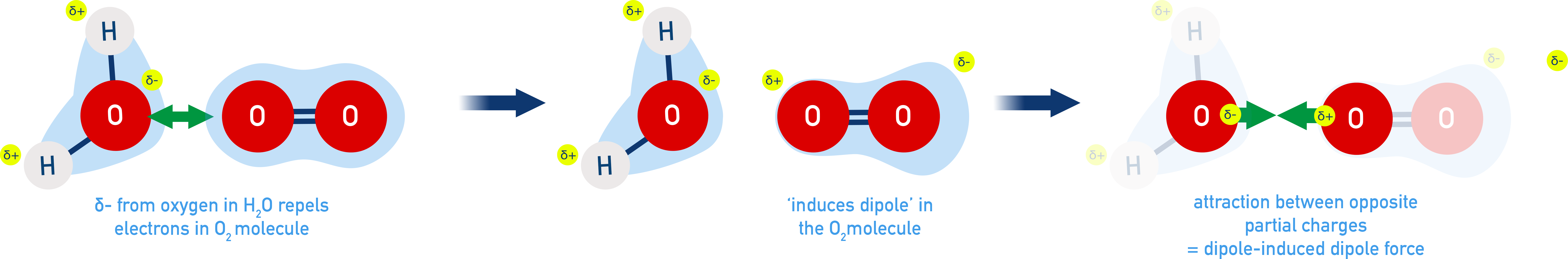 IB Chemistry diagram showing a polar molecule inducing a dipole in a non-polar molecule, creating dipole-induced dipole attraction.