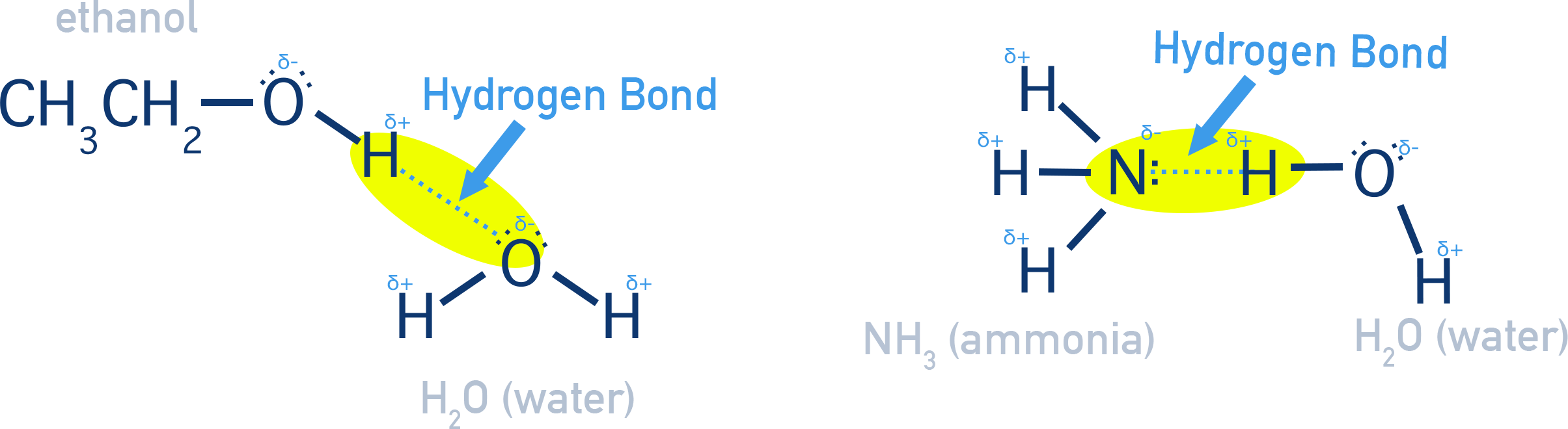 IB Chemistry comparison of hydrogen bonding interactions between water and small polar molecules such as alcohols, ammonia, and simple carboxylic acids.